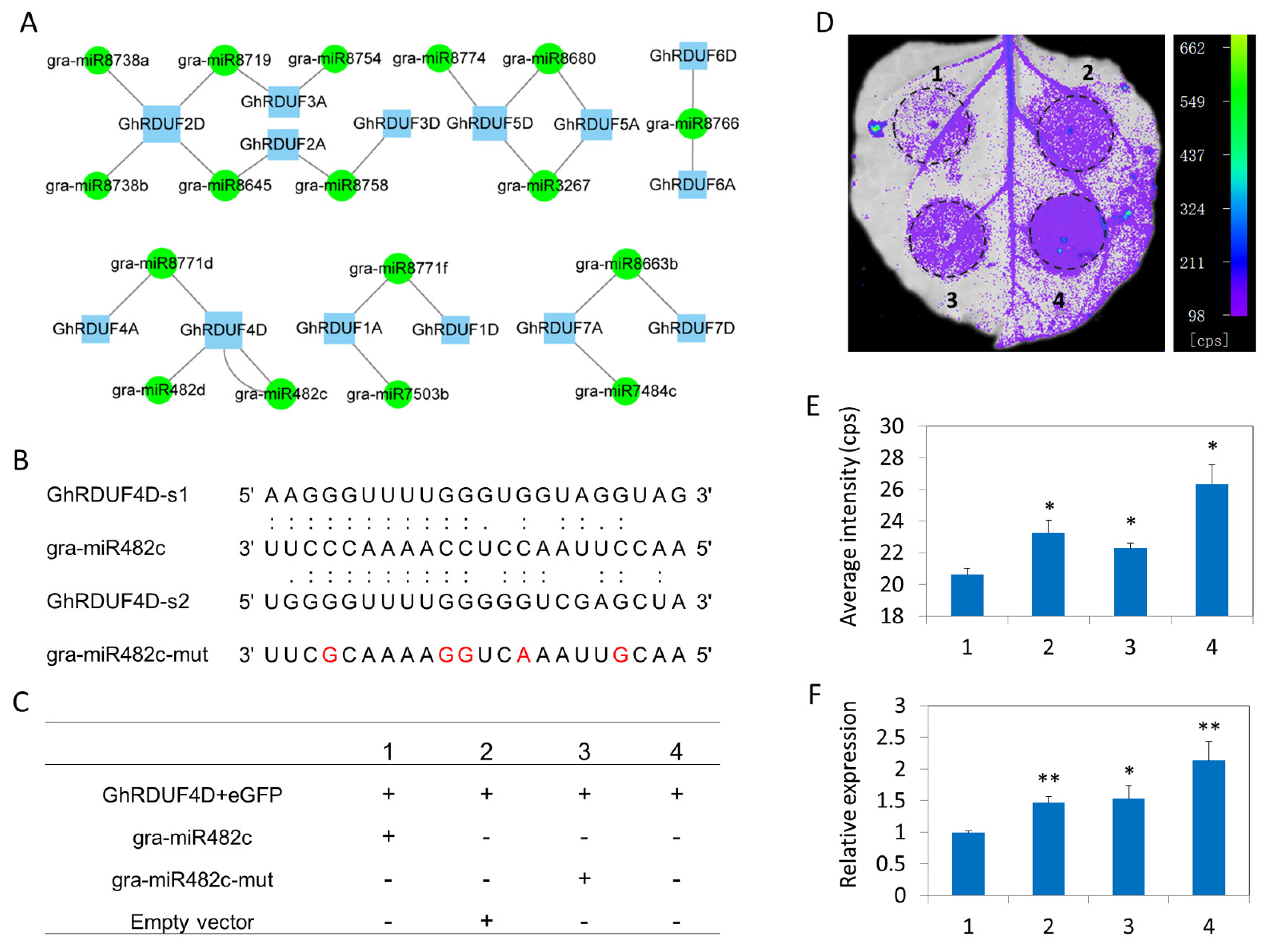 Biomolecules 11 01145 g005