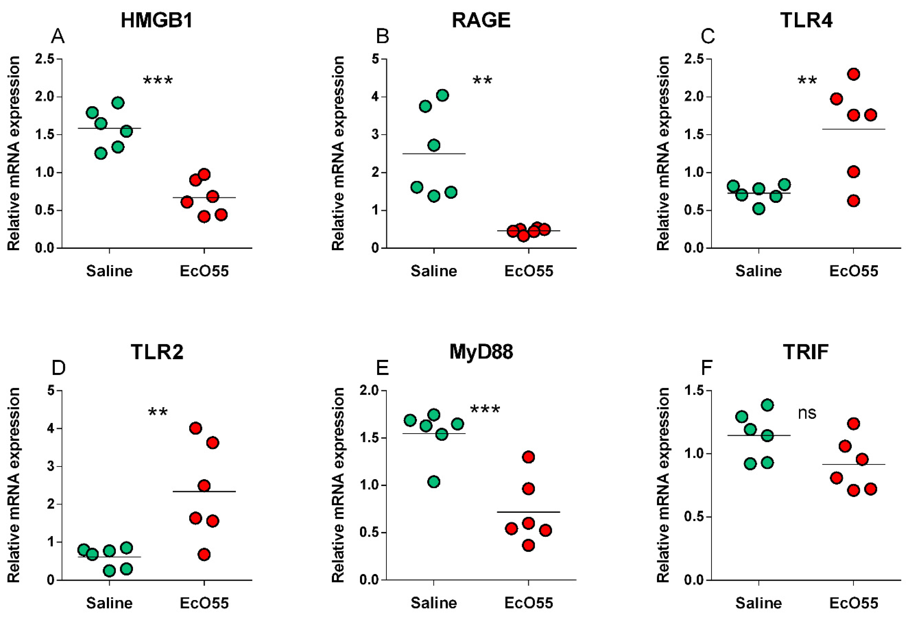 Biomolecules 11 01146 g001