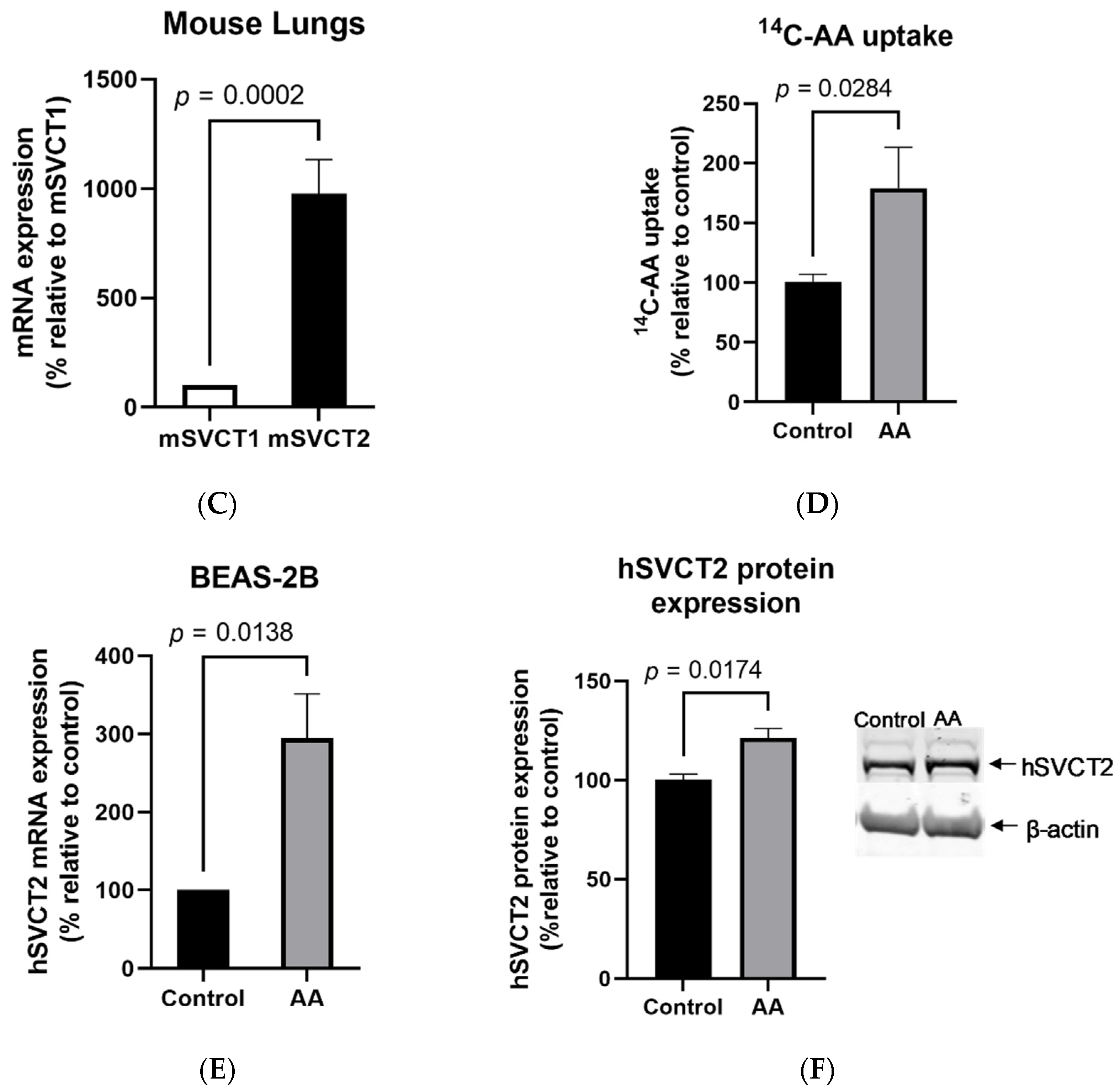 Biomolecules 11 01148 g001b