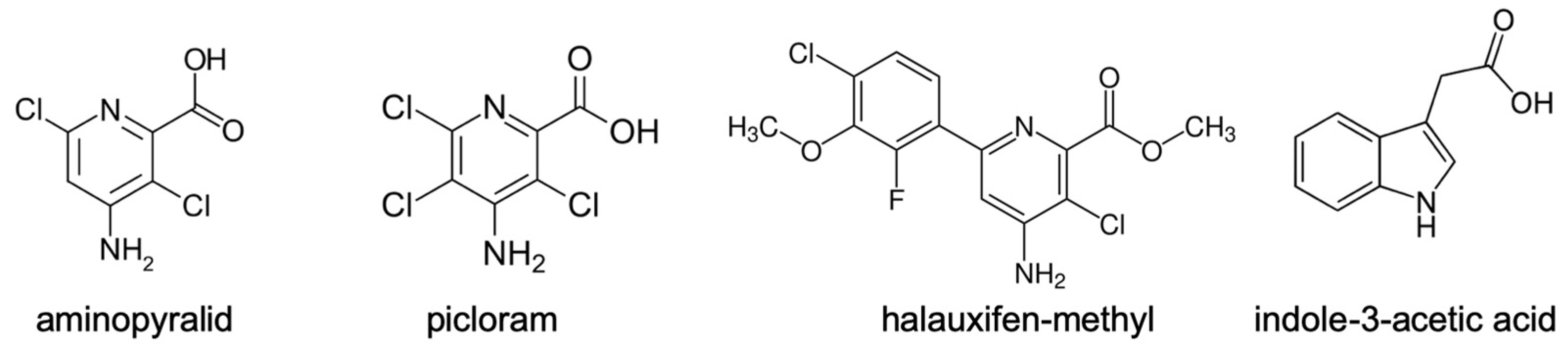 Biomolecules 11 01153 g002