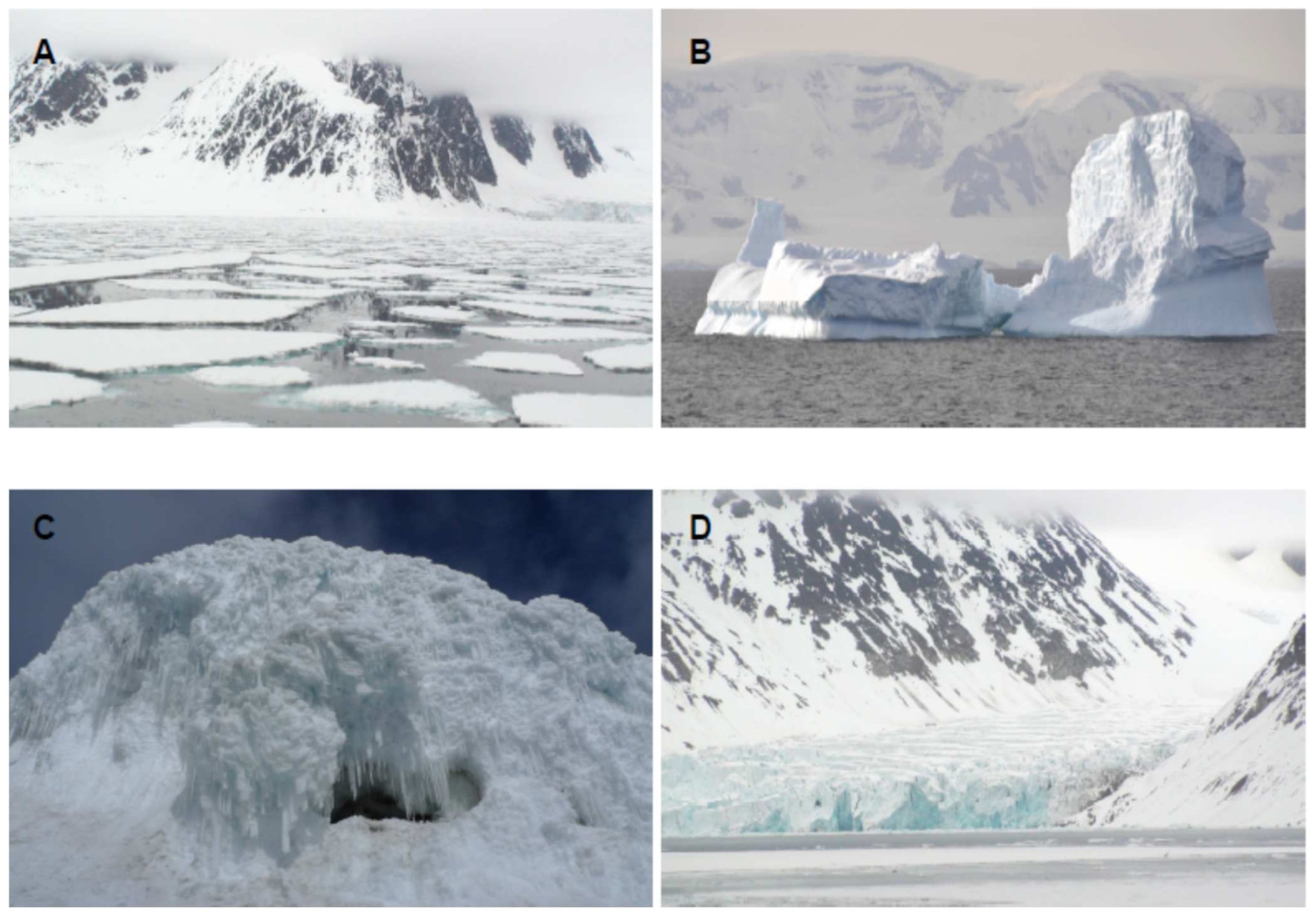 Biomolecules 11 01155 g001 Biomolecules 11 01155 g001