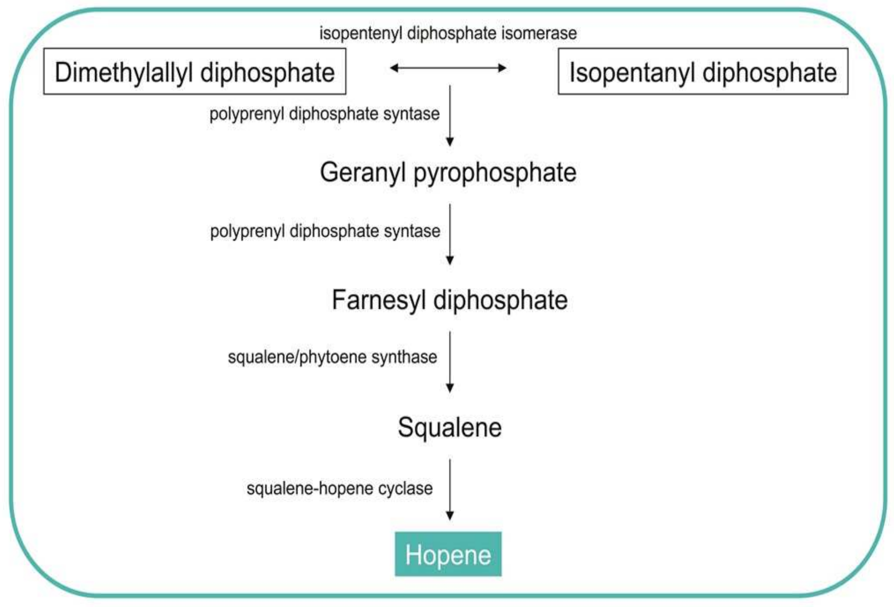 Biomolecules 11 01155 g004 Biomolecules 11 01155 g004