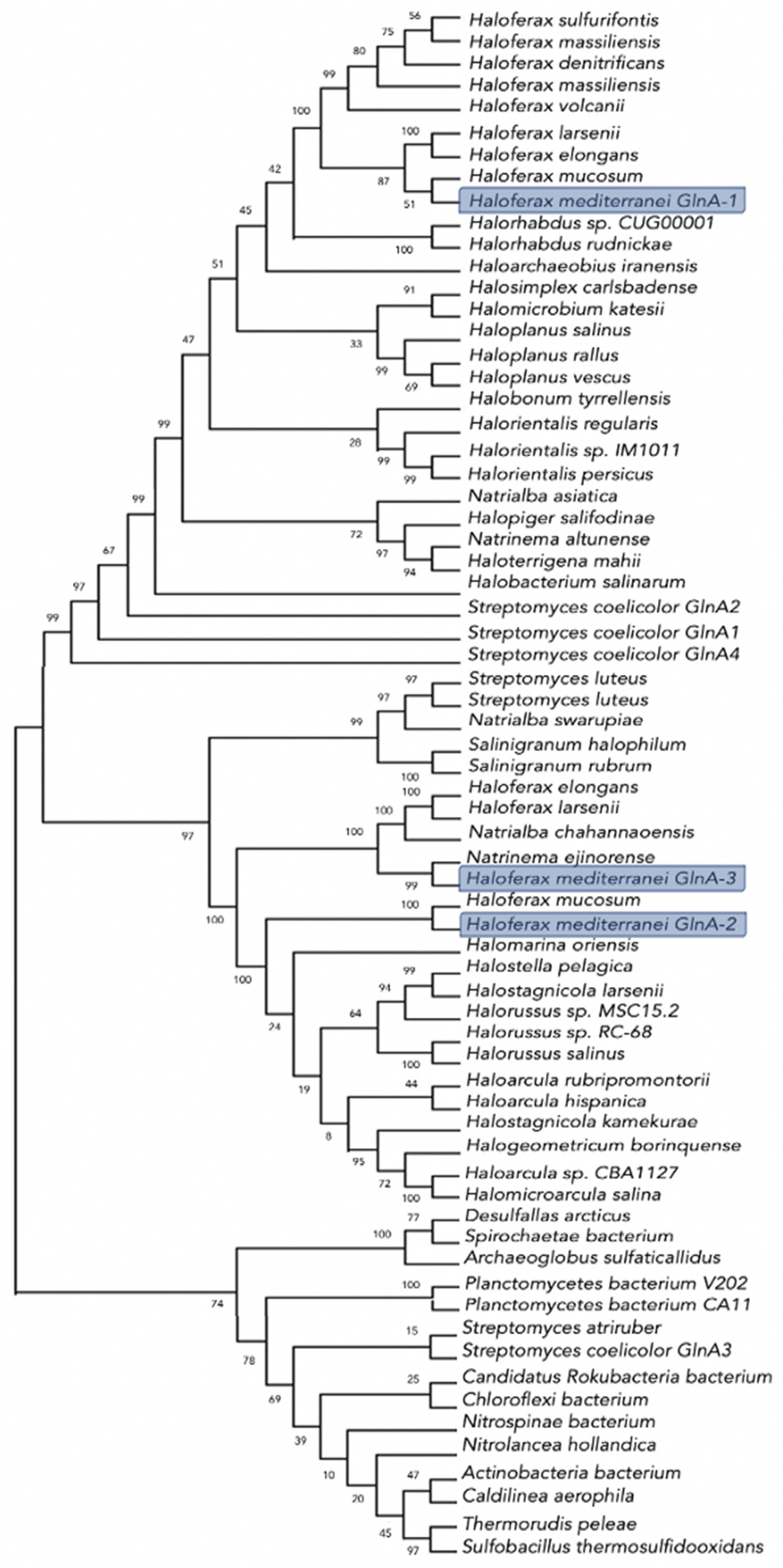 Biomolecules 11 01156 g001