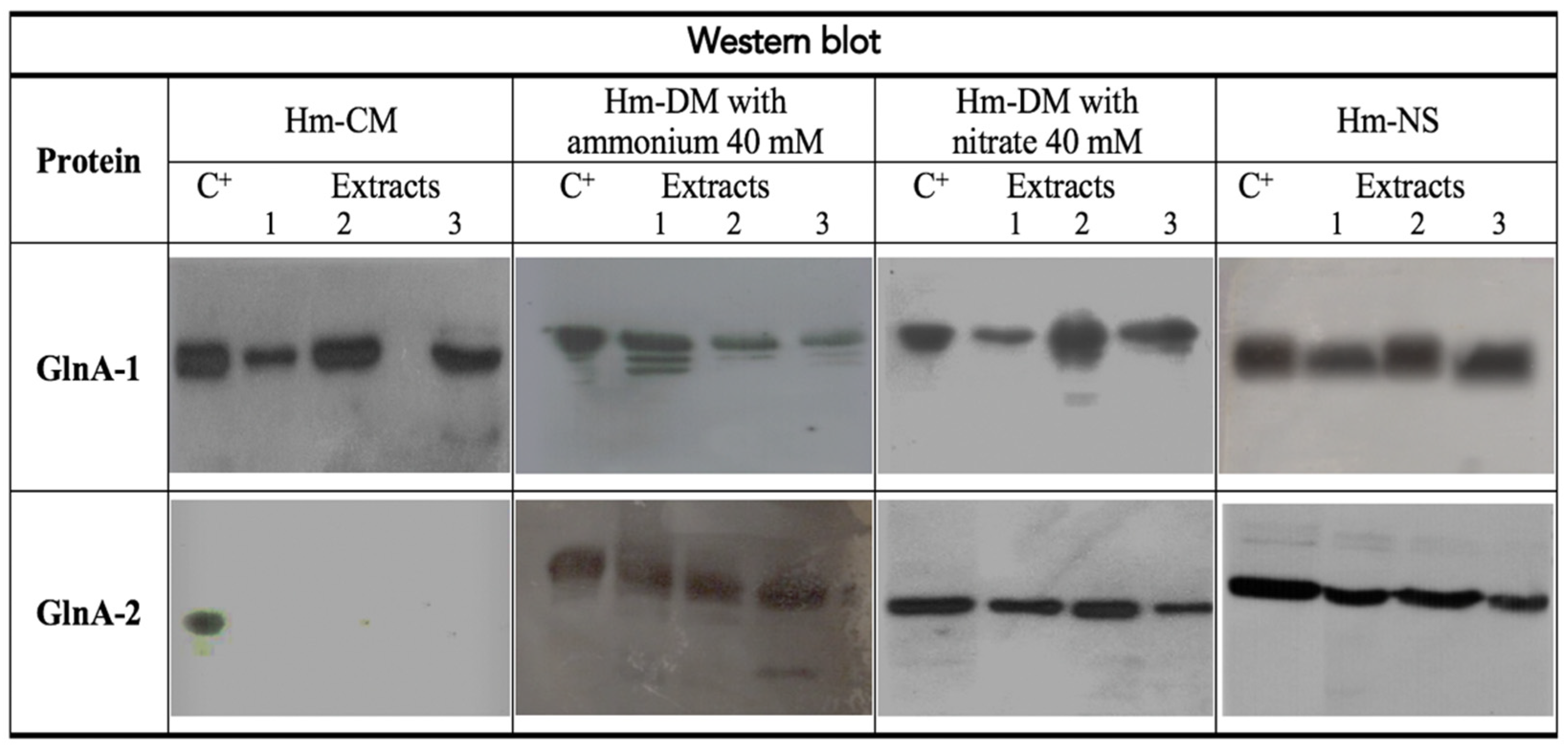 Biomolecules 11 01156 g004