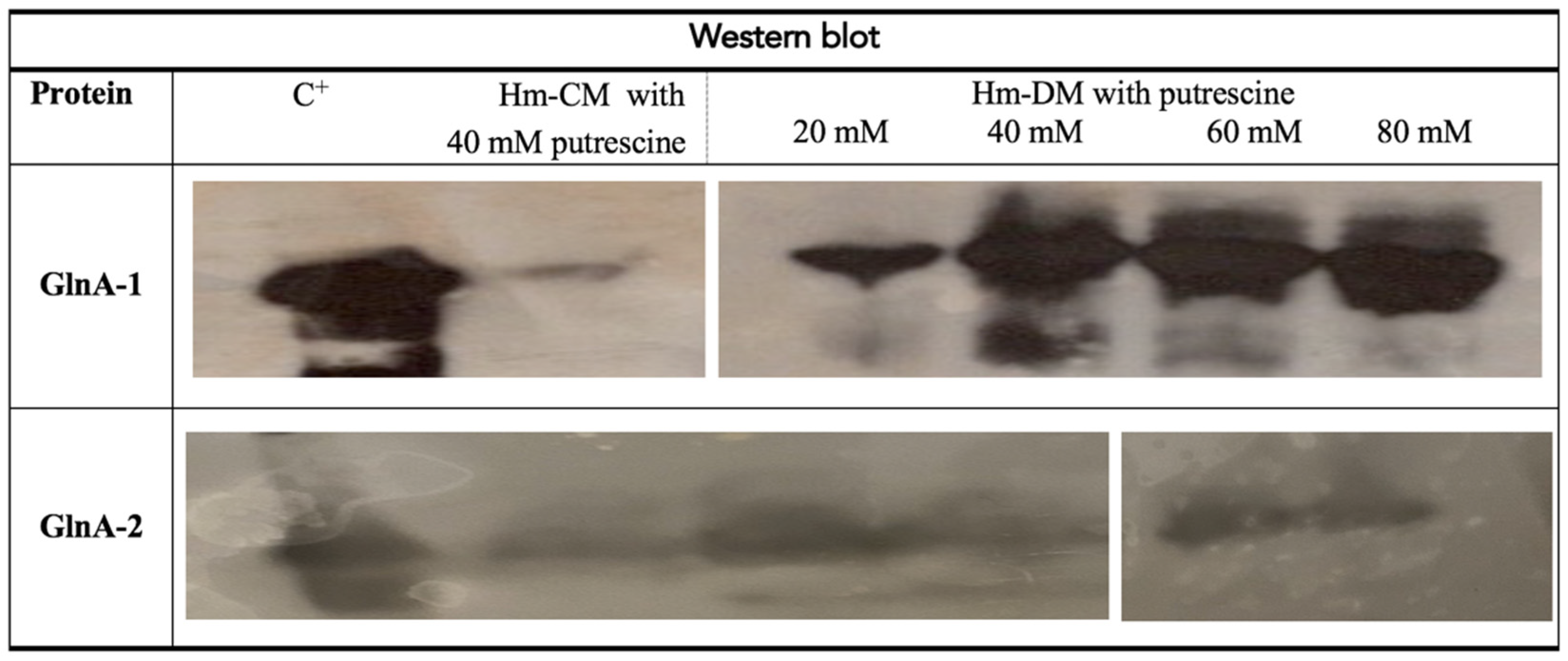 Biomolecules 11 01156 g005