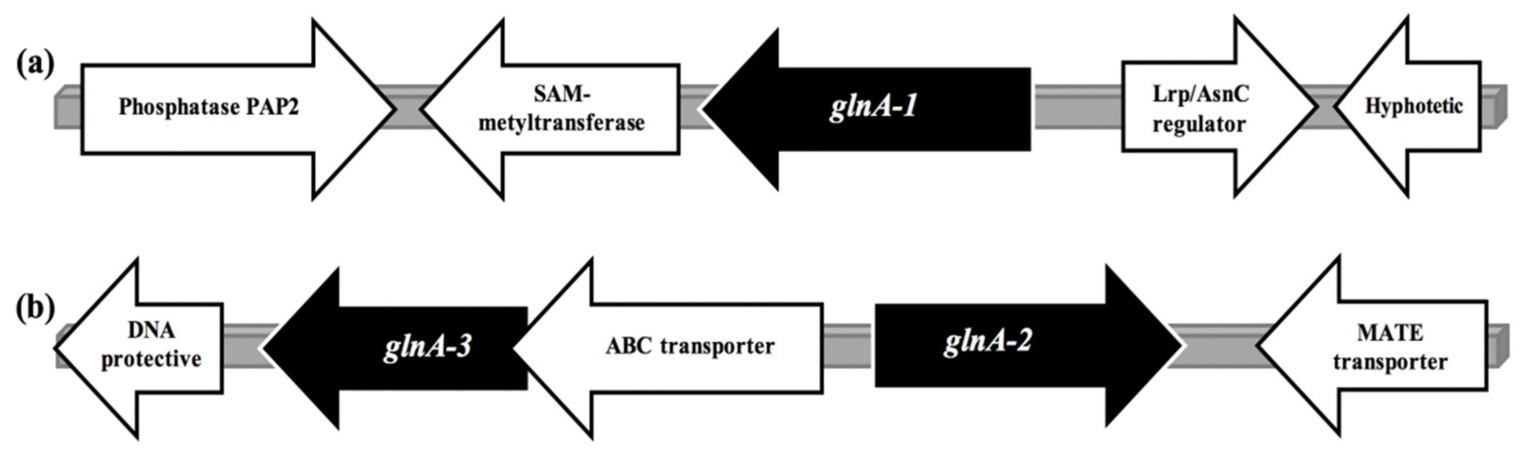 Biomolecules 11 01156 sch002