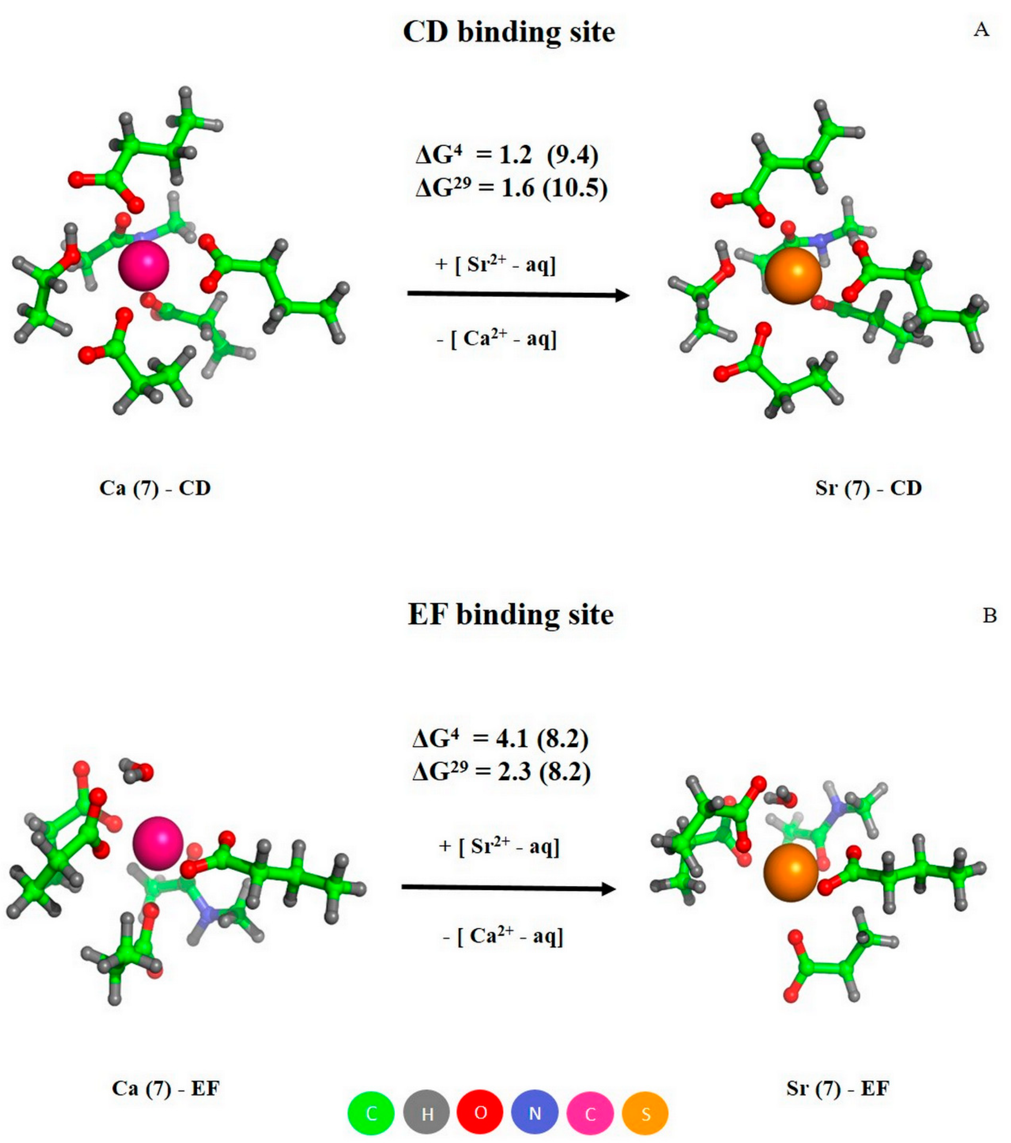 Biomolecules 11 01158 g008