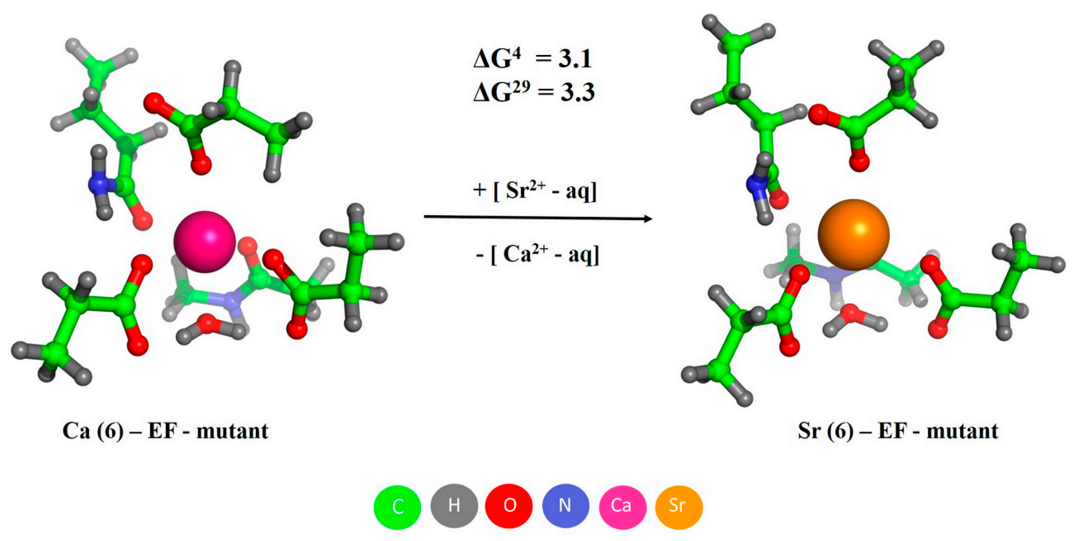 Biomolecules 11 01158 g010