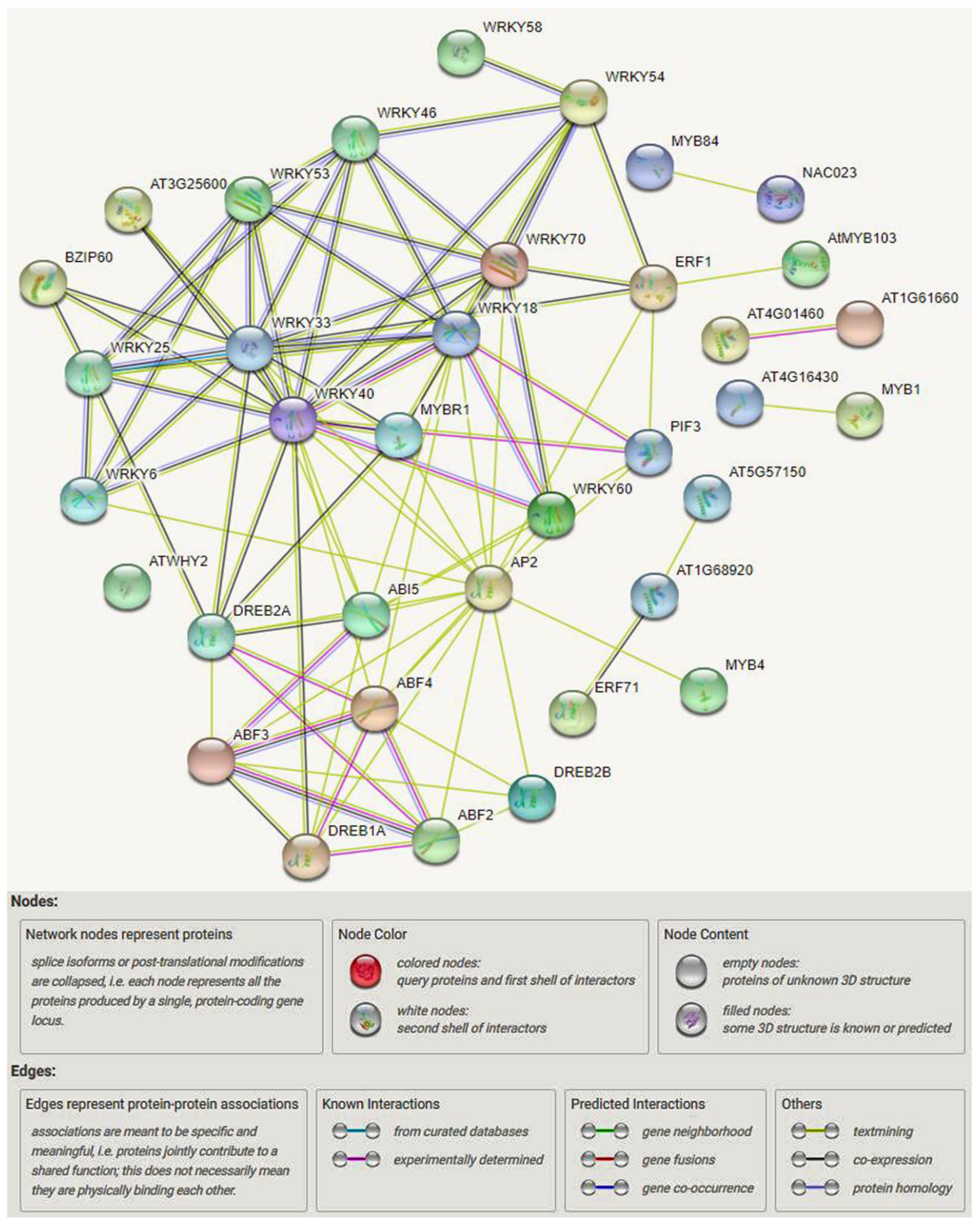 Biomolecules 11 01159 g005
