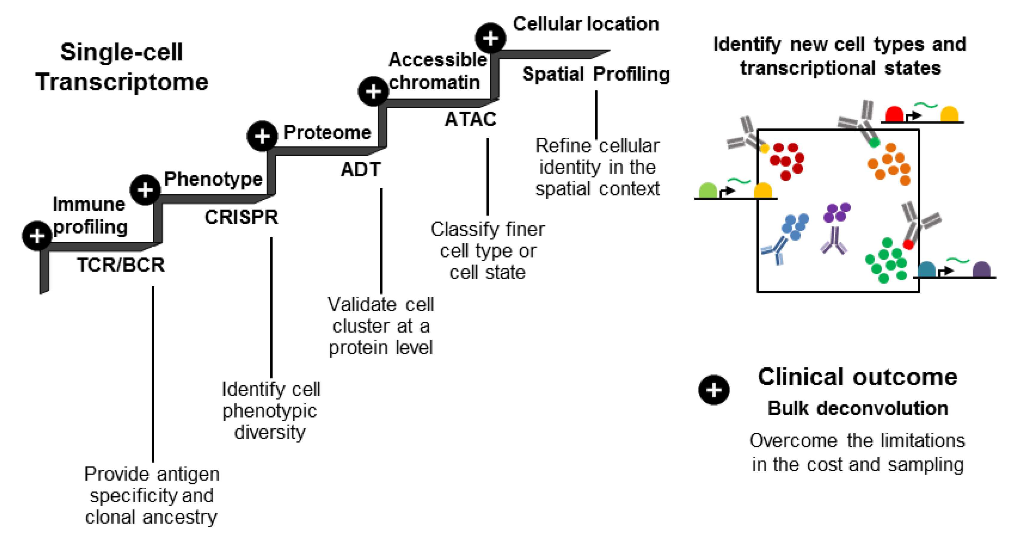Biomolecules 11 01161 g003