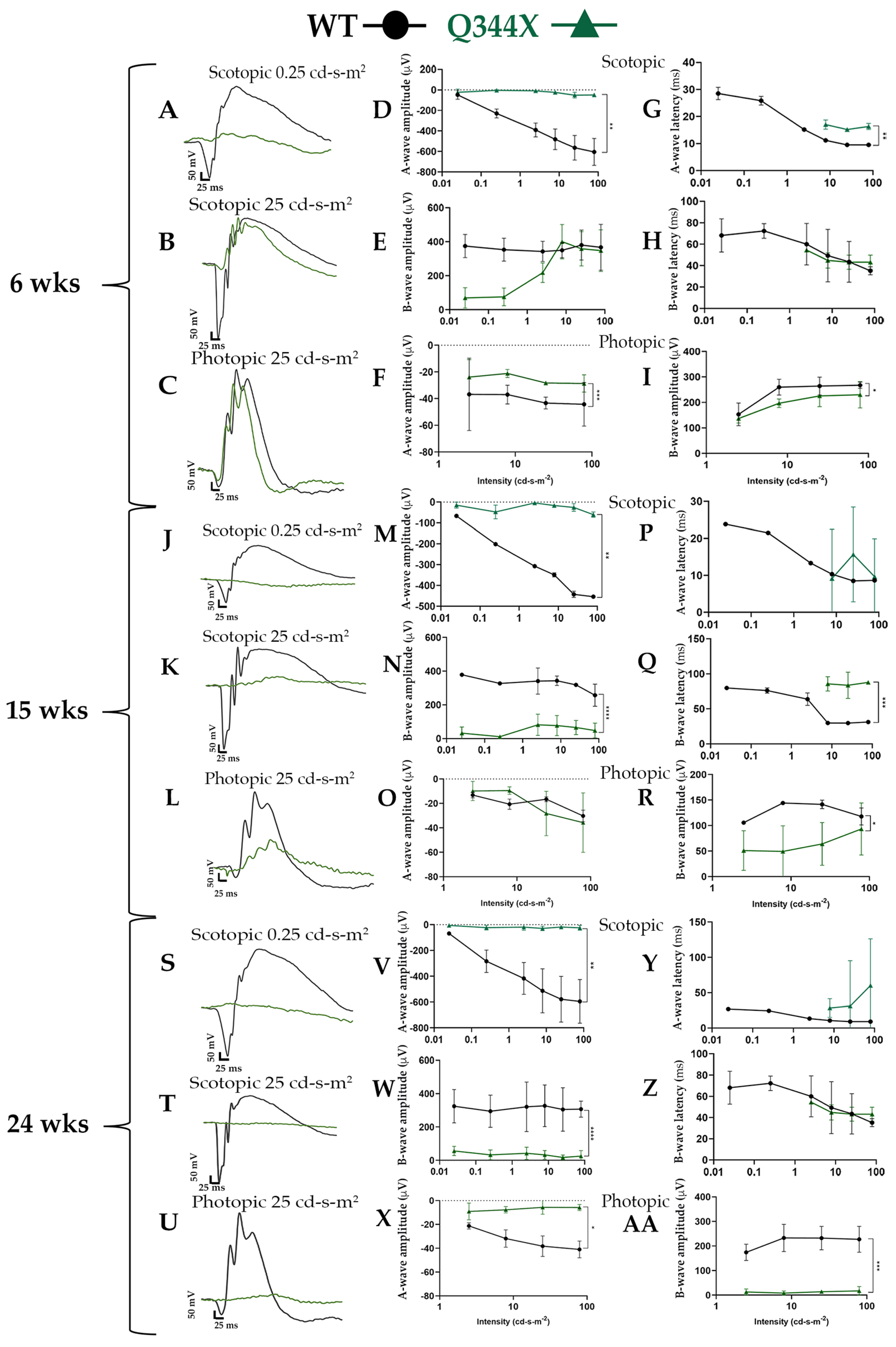 Biomolecules 11 01163 g001