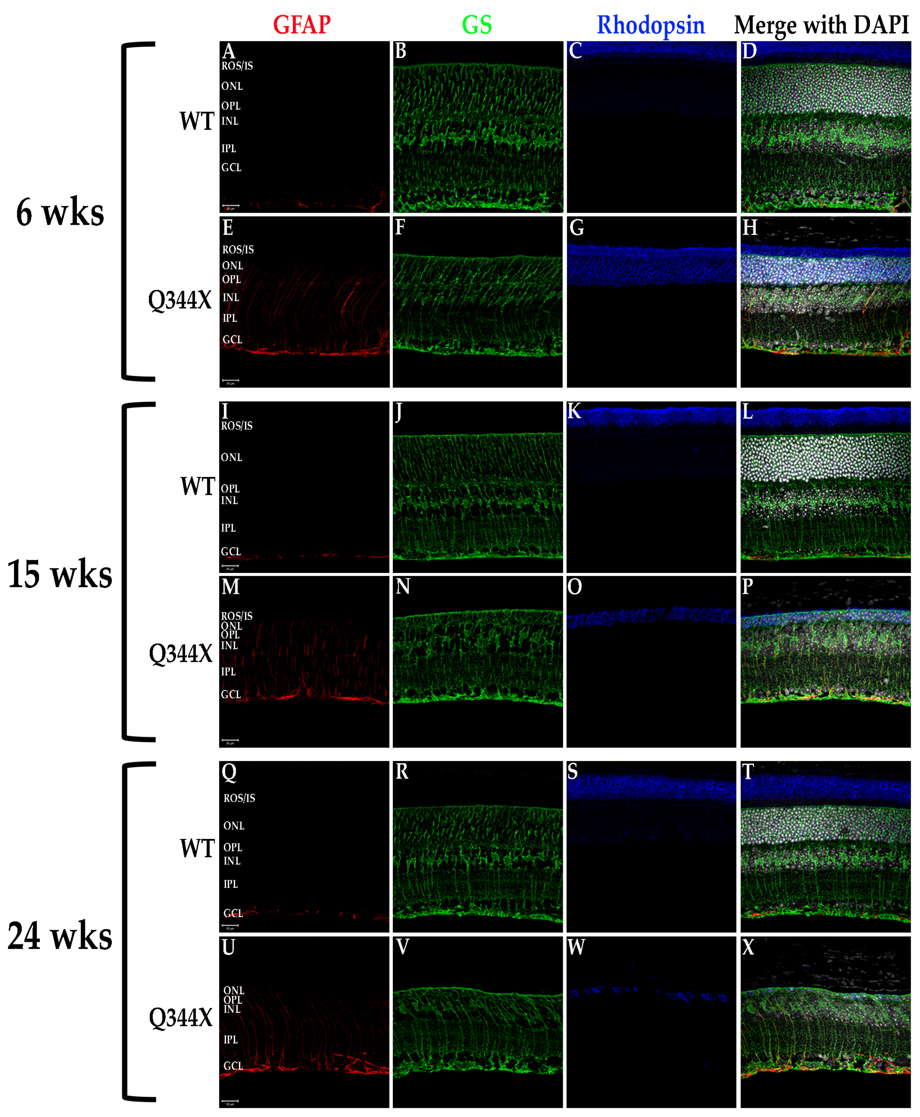 Biomolecules 11 01163 g003