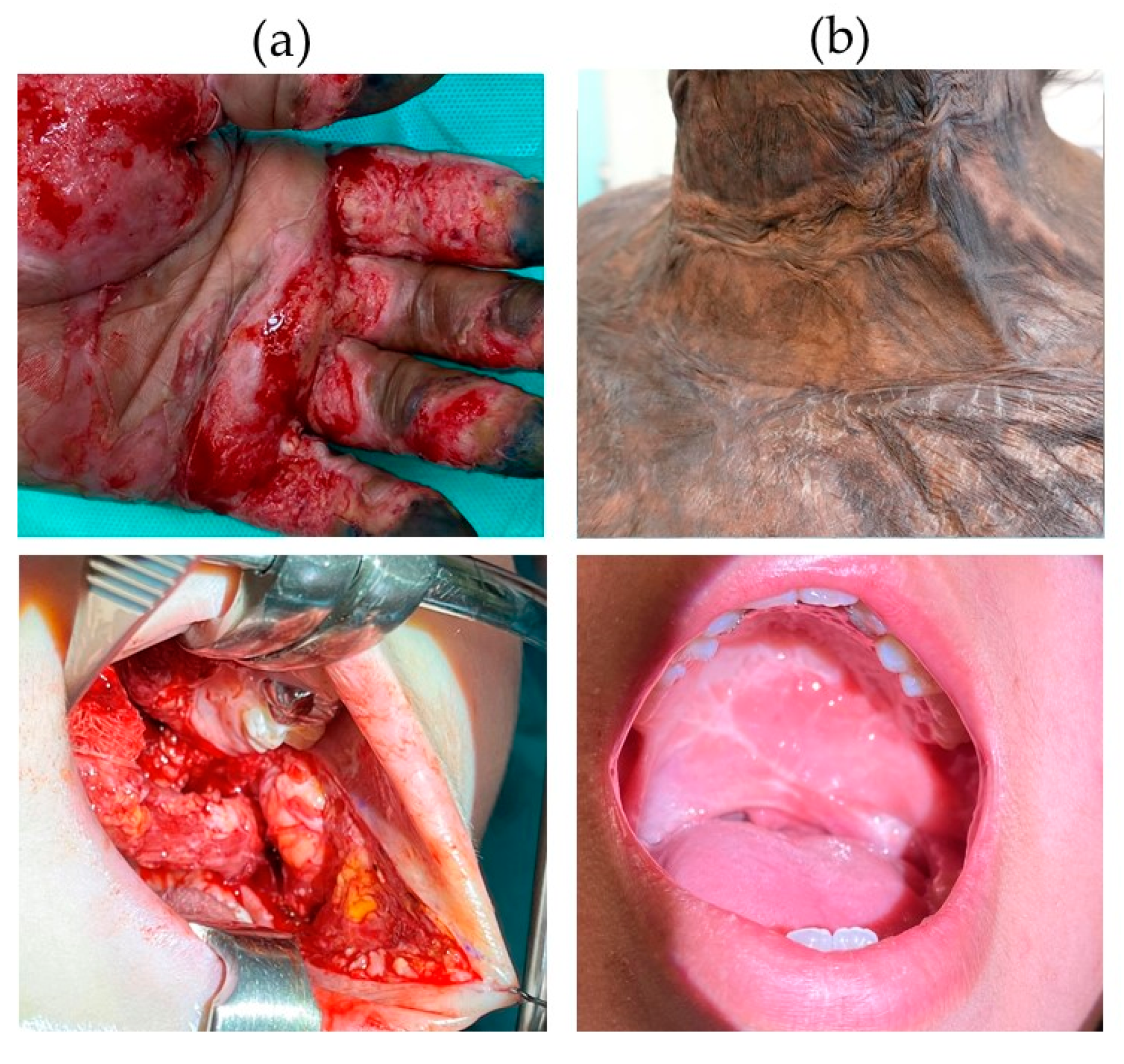 Biomolecules 11 01165 g001 Biomolecules 11 01165 g001