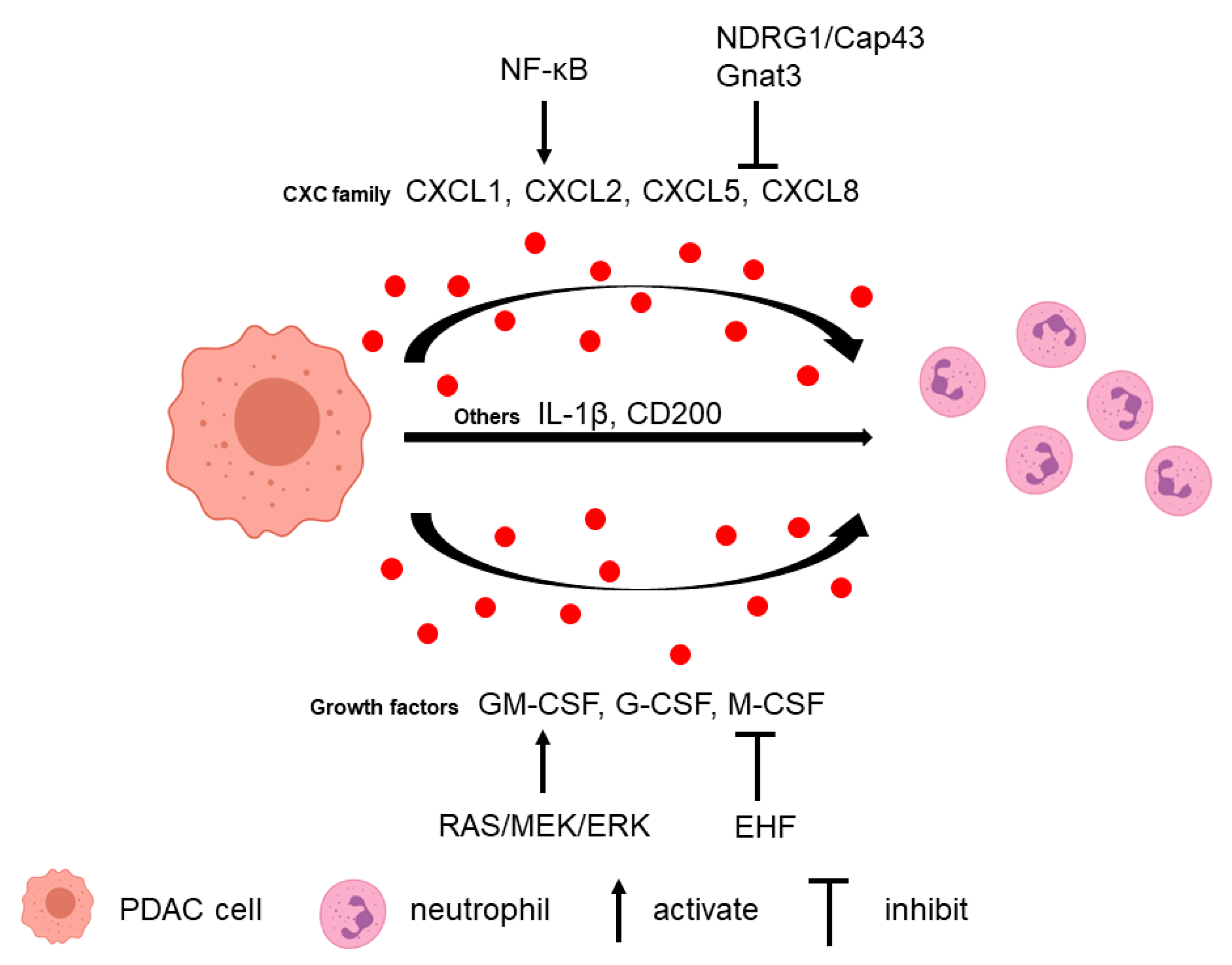 Biomolecules 11 01170 g001