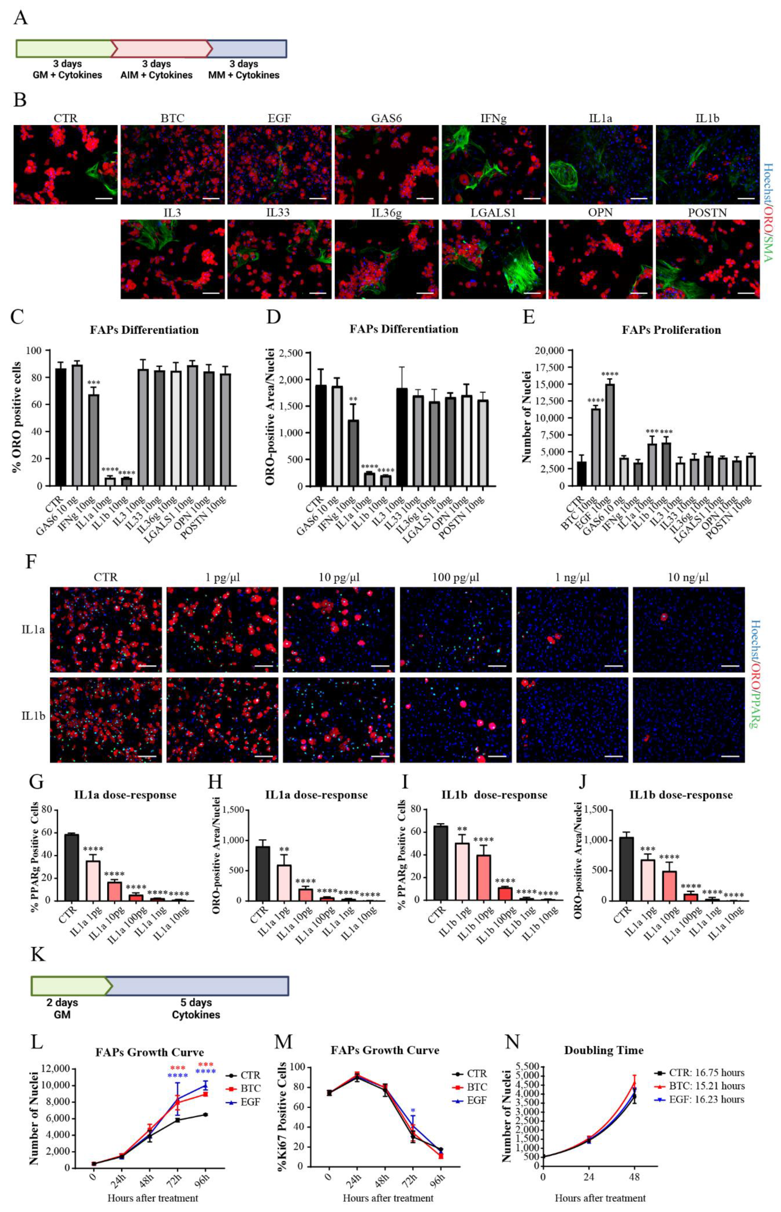 Biomolecules 11 01171 g003