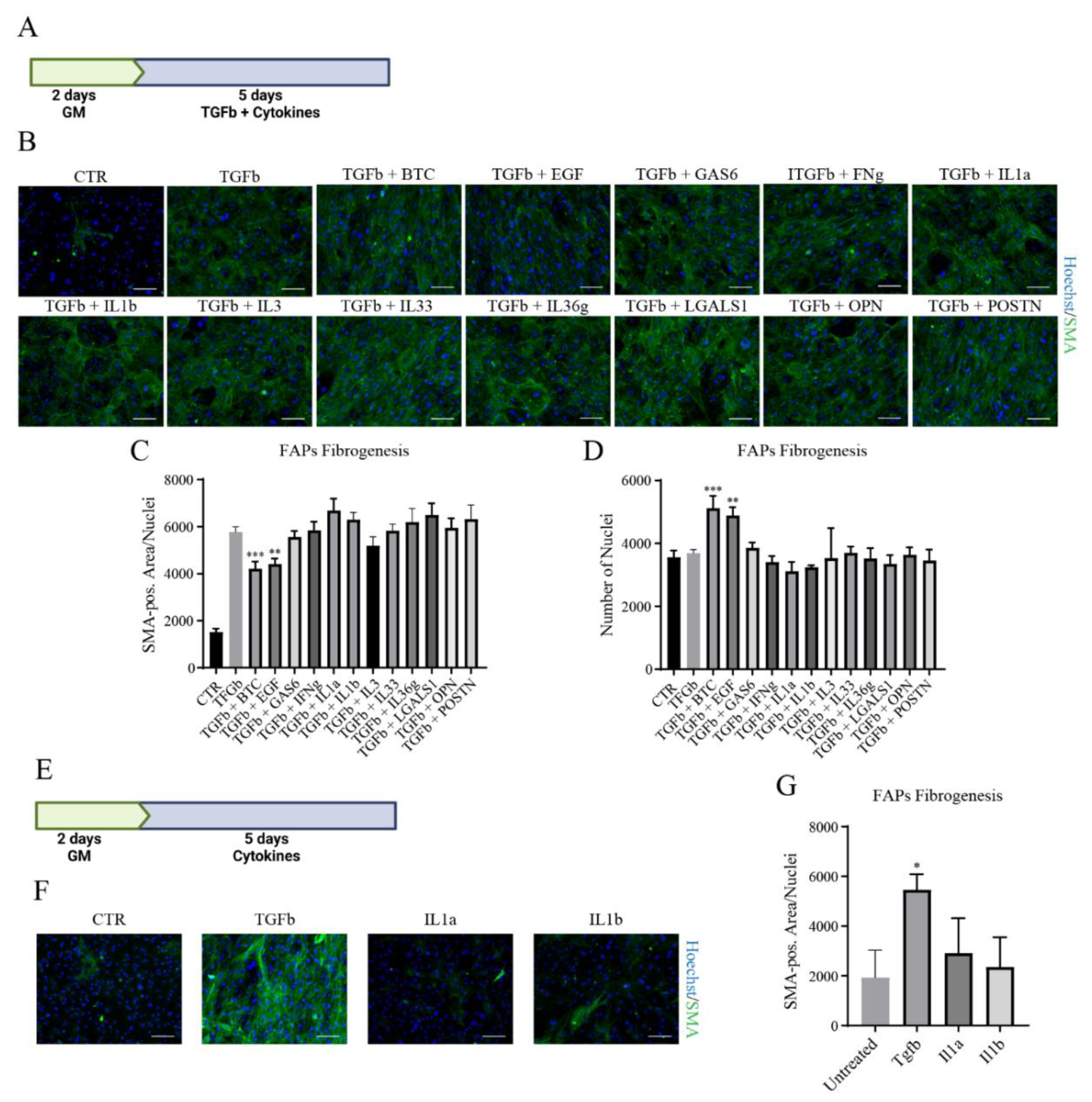 Biomolecules 11 01171 g004