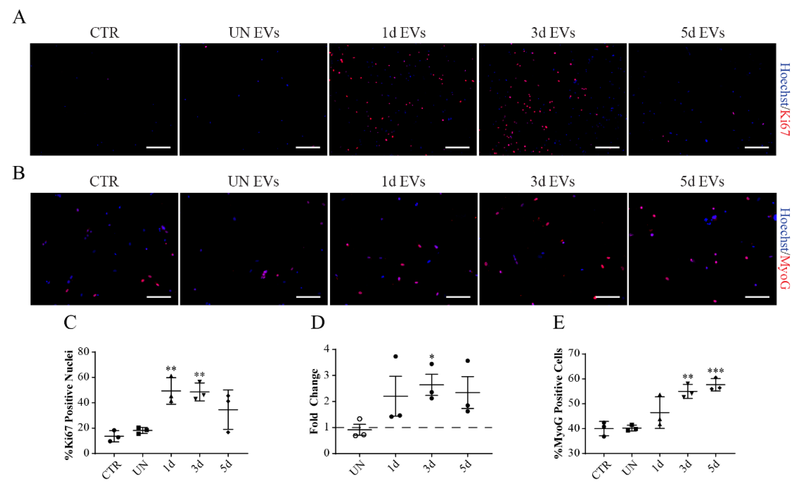 Biomolecules 11 01171 g008