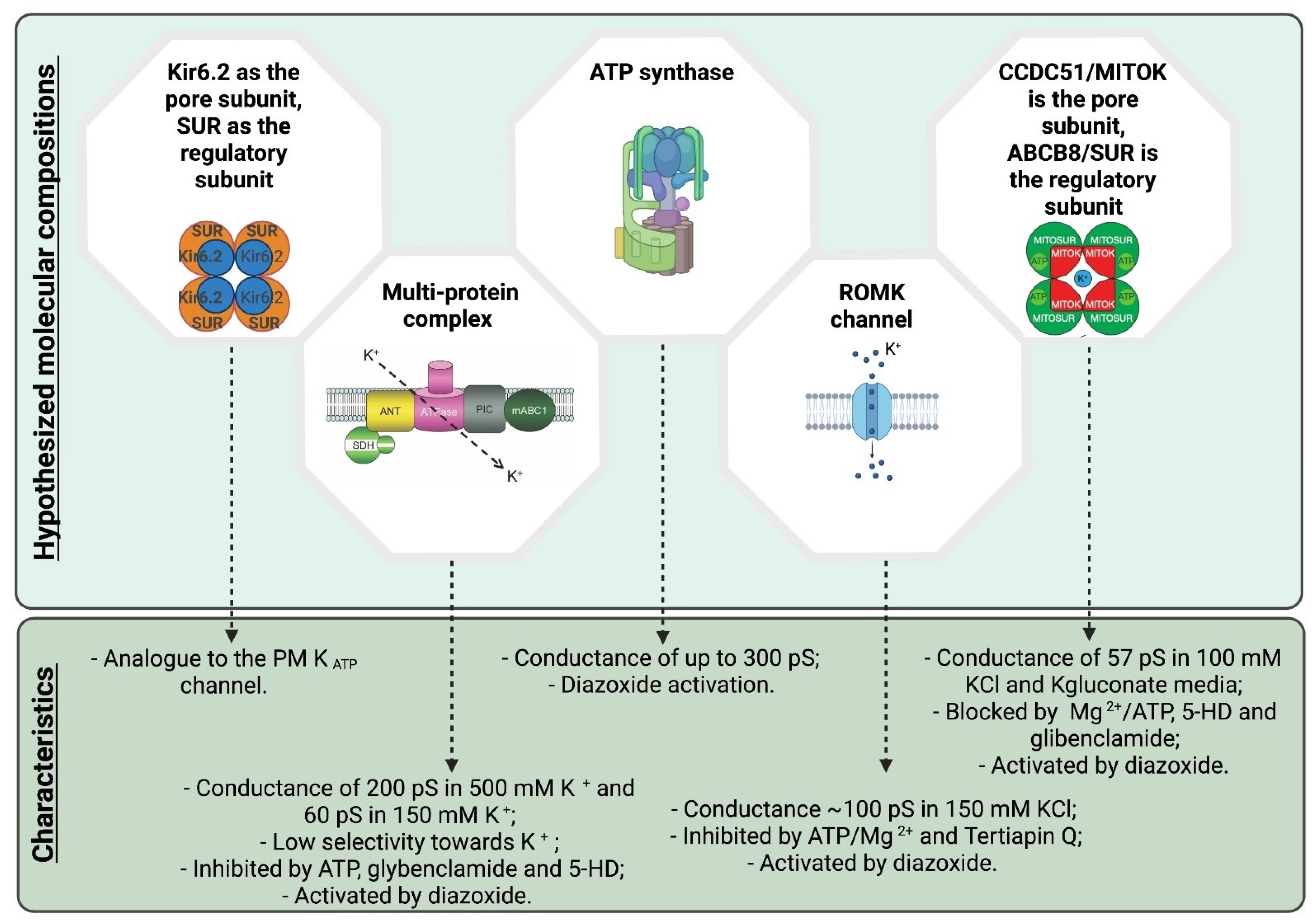 Biomolecules 11 01172 g001 Biomolecules 11 01172 g001