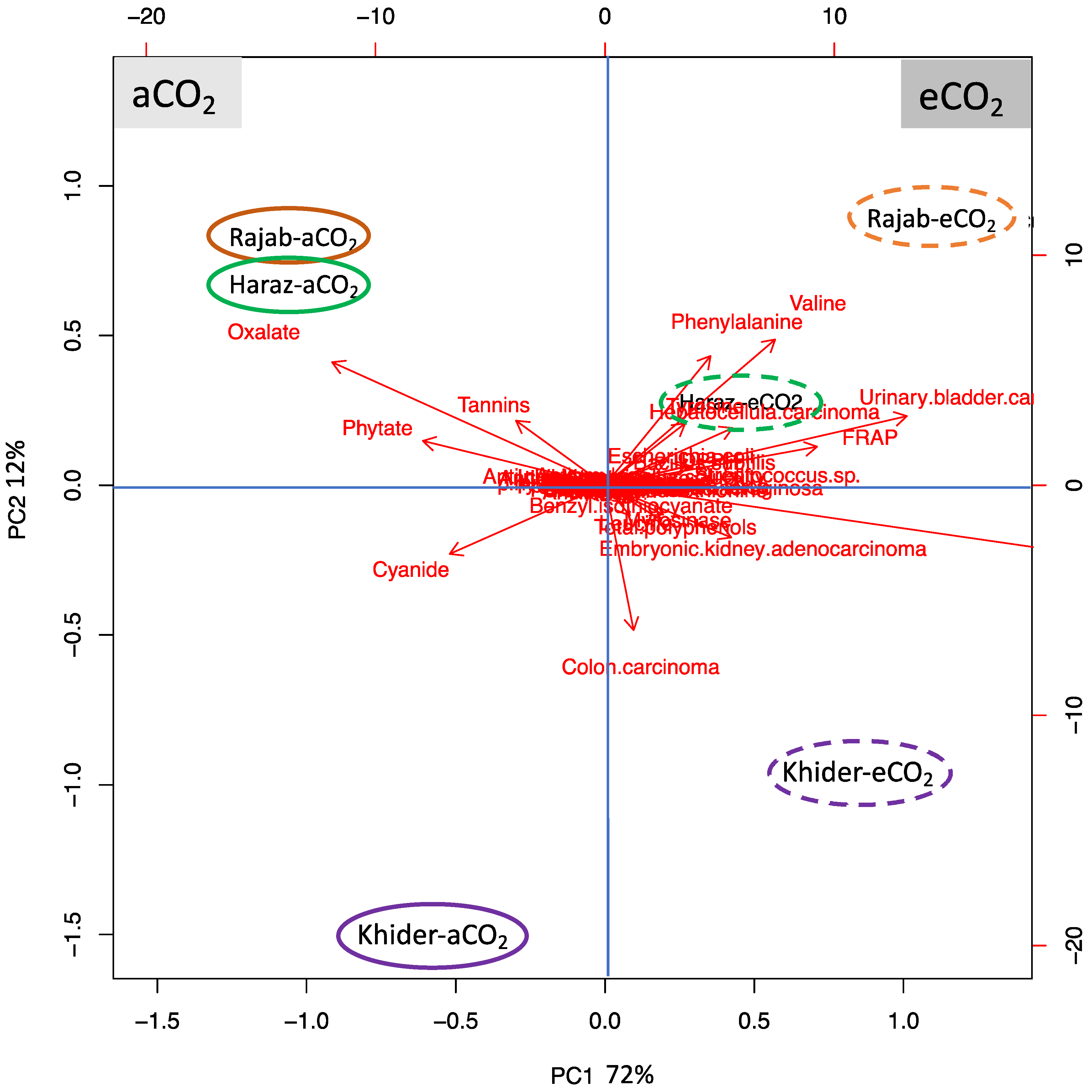 Biomolecules 11 01174 g004