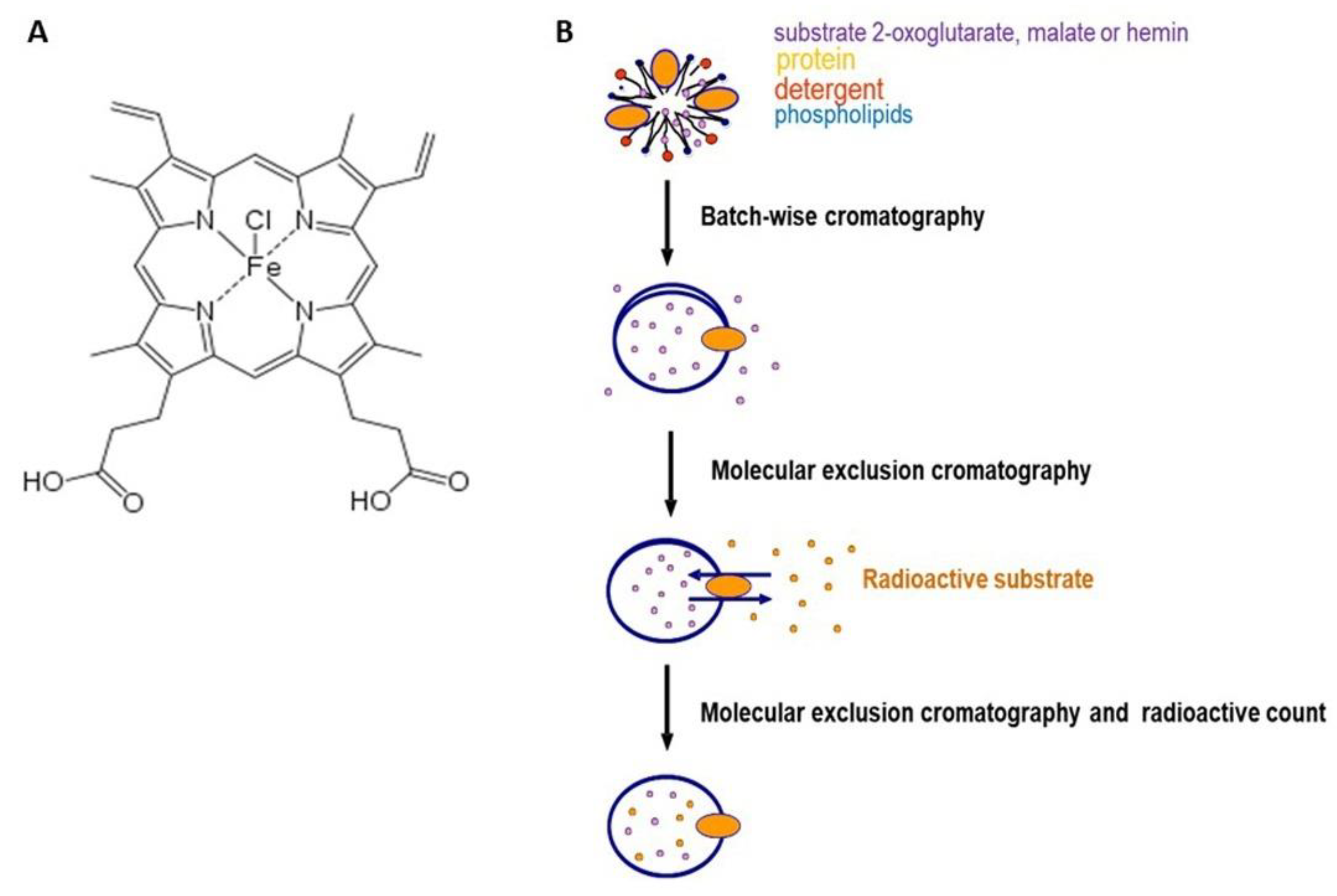 Biomolecules 11 01175 g001 Biomolecules 11 01175 g001