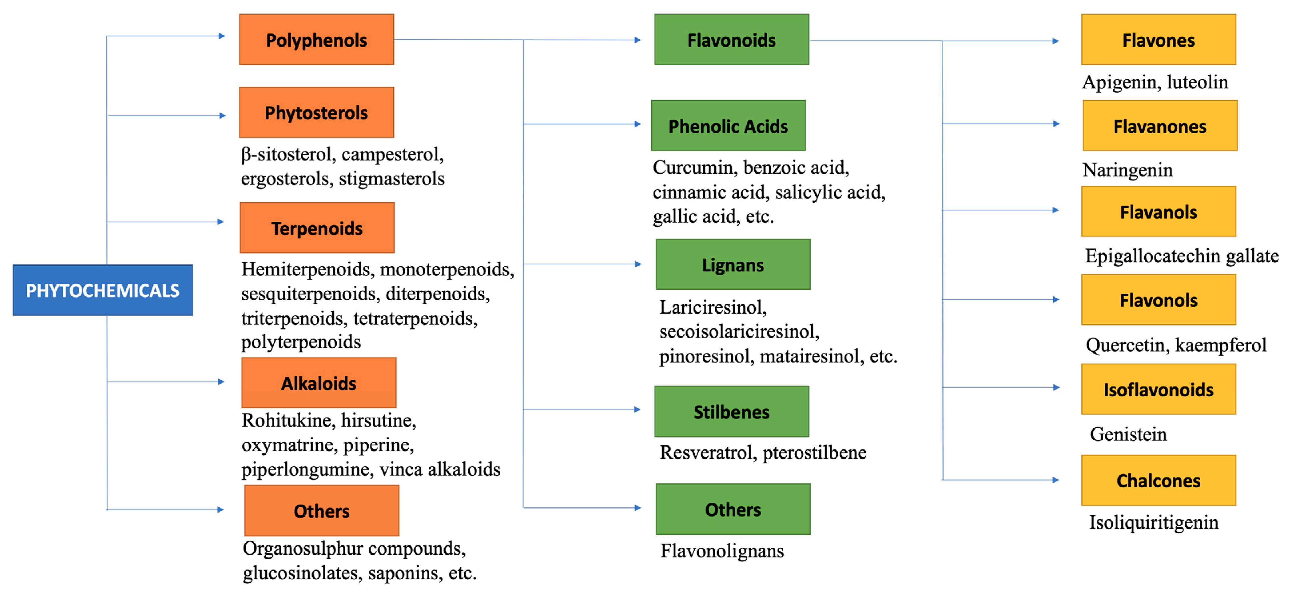 Biomolecules 11 01176 g003