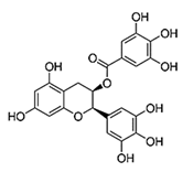 Biomolecules 11 01176 i001