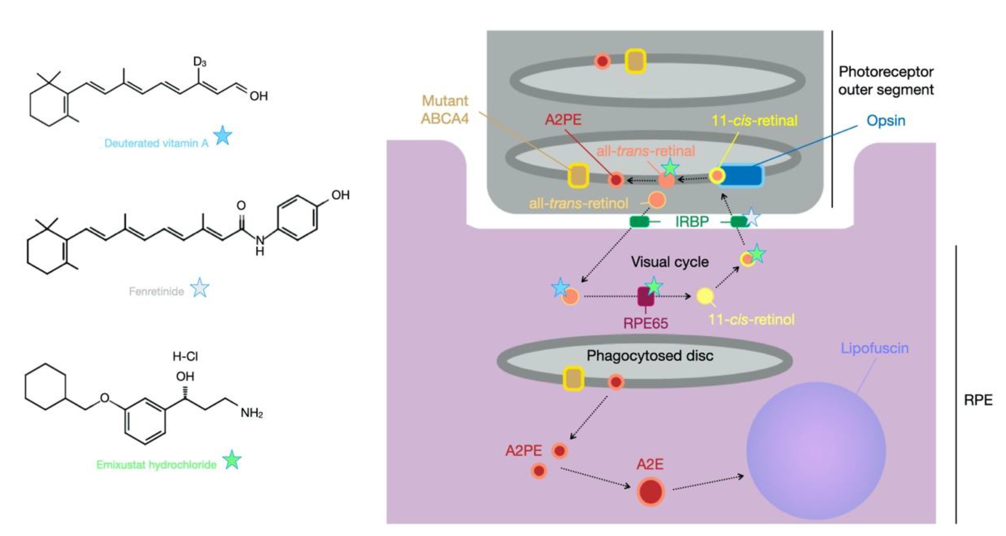 Biomolecules 11 01179 g002