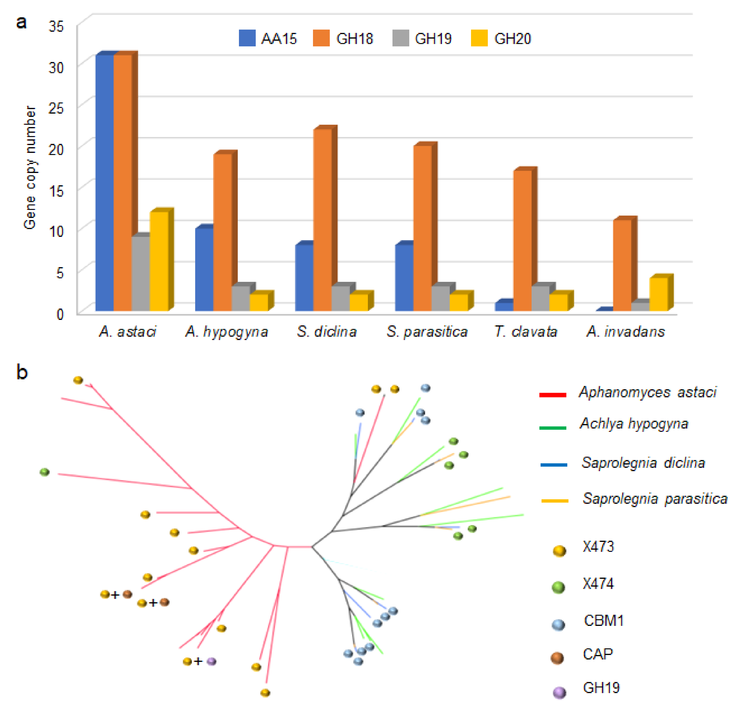 Biomolecules 11 01180 g002