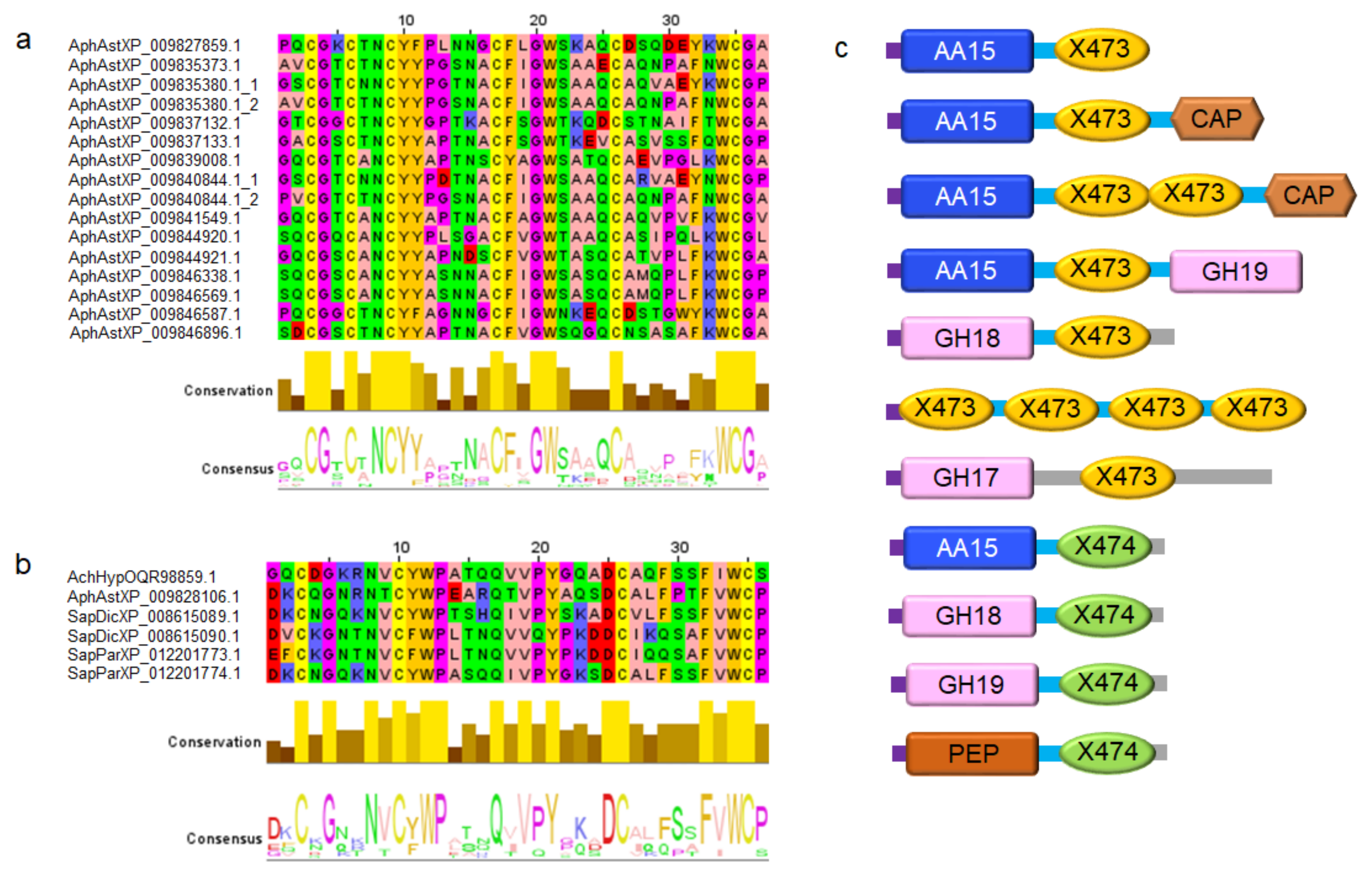 Biomolecules 11 01180 g003