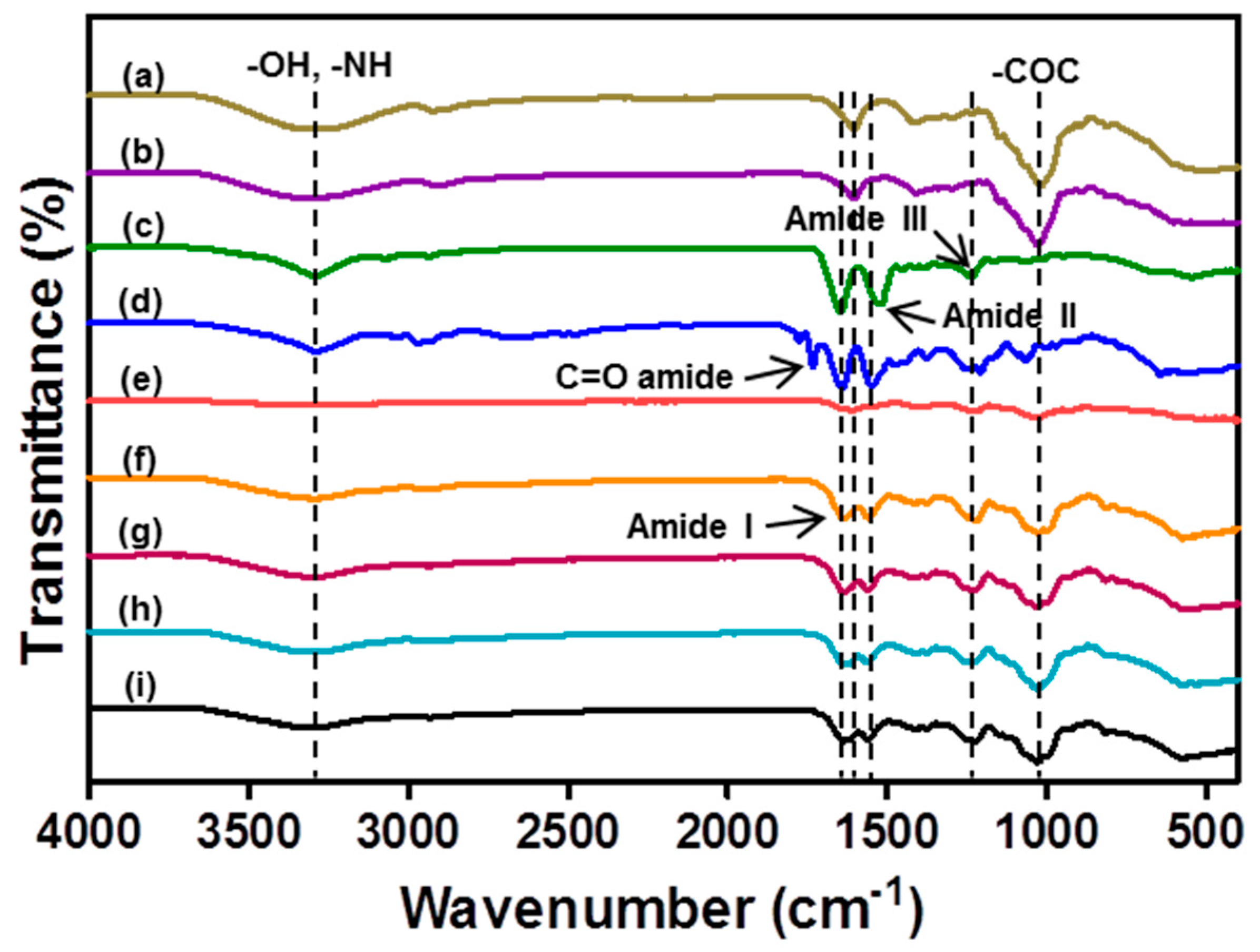 Biomolecules 11 01184 g001
