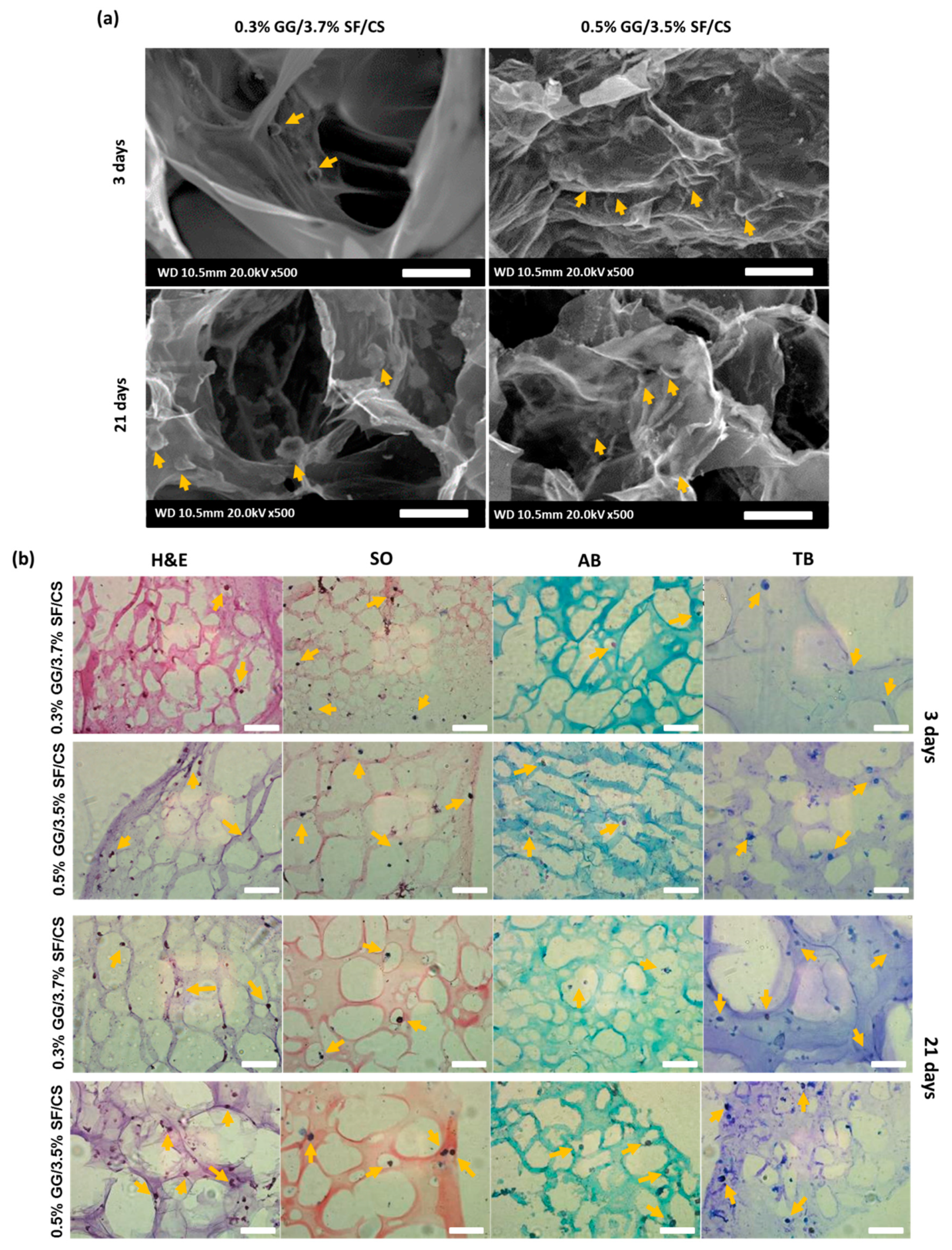 Biomolecules 11 01184 g007