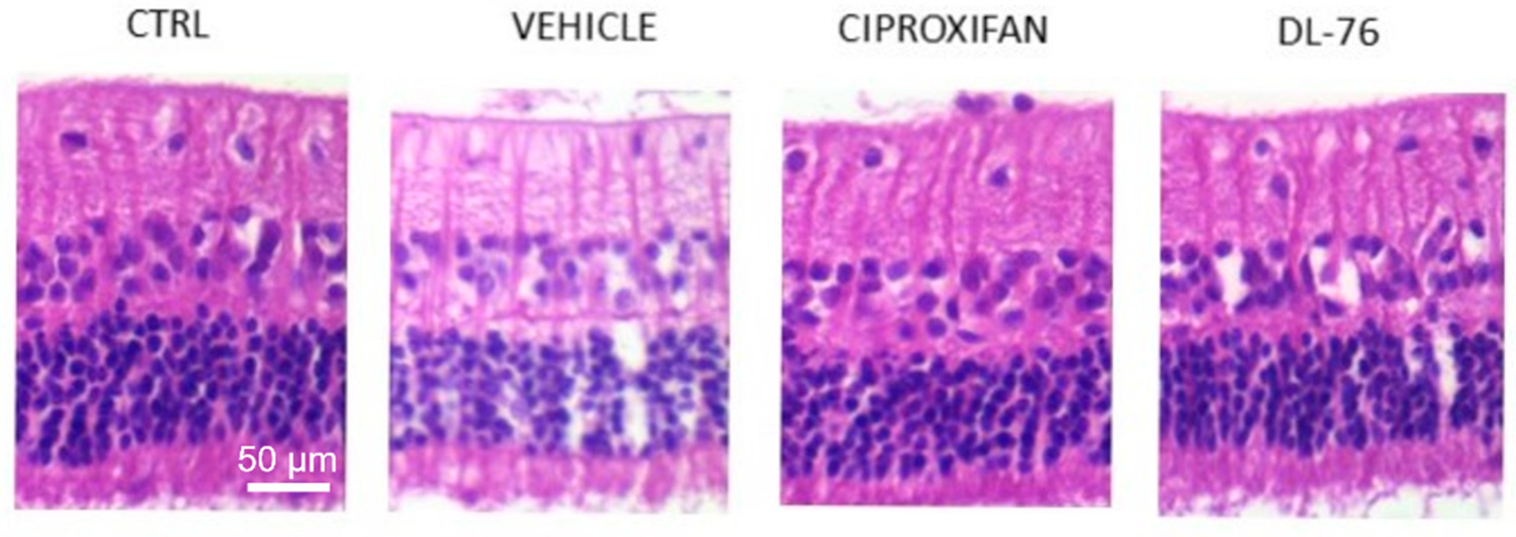 Biomolecules 11 01186 g003