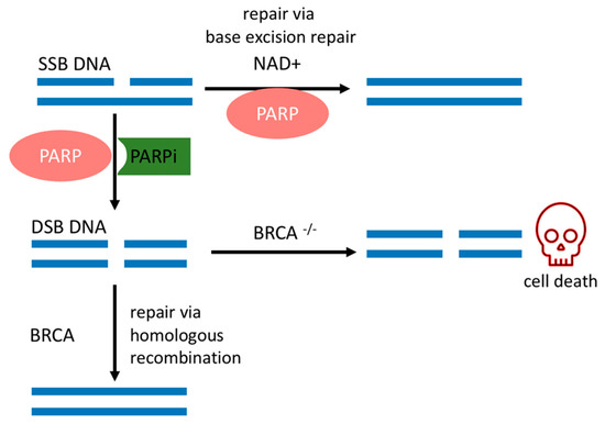 Biomolecules 11 01188 g001 550