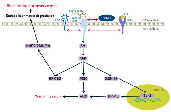 Biomolecules 11 01197 g001 550