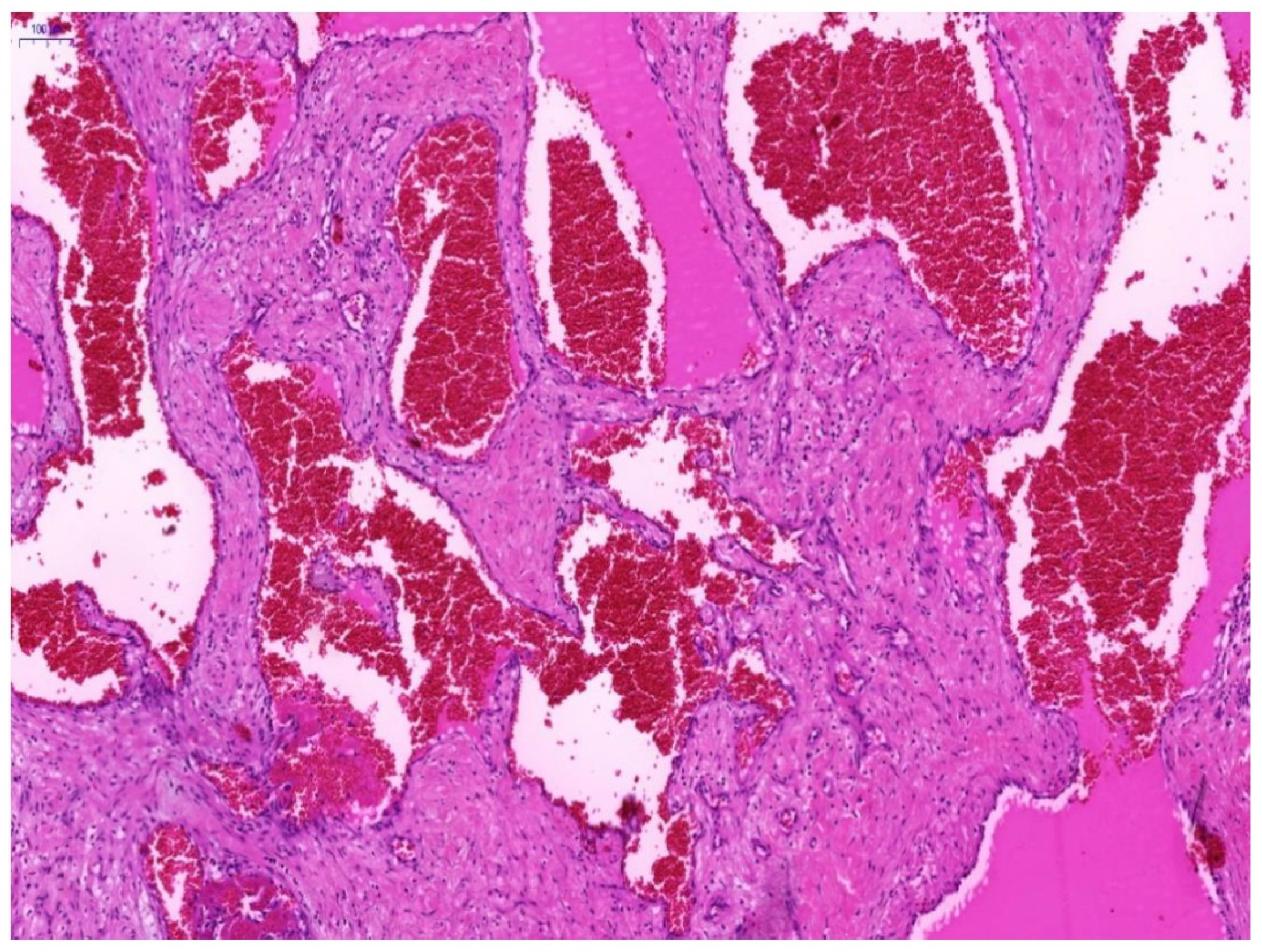Biomolecules 11 01199 g001