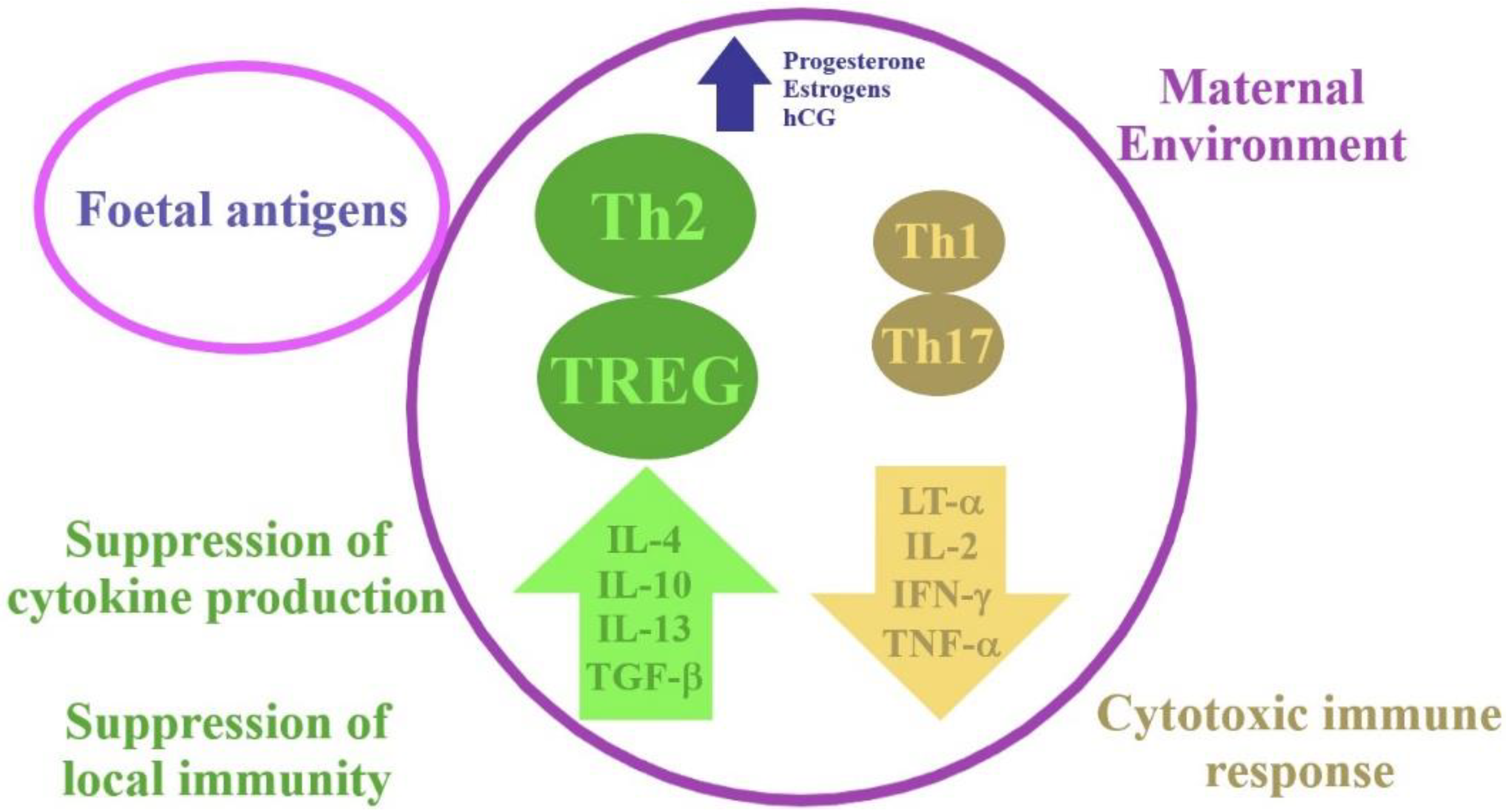 Biomolecules 11 01202 g001