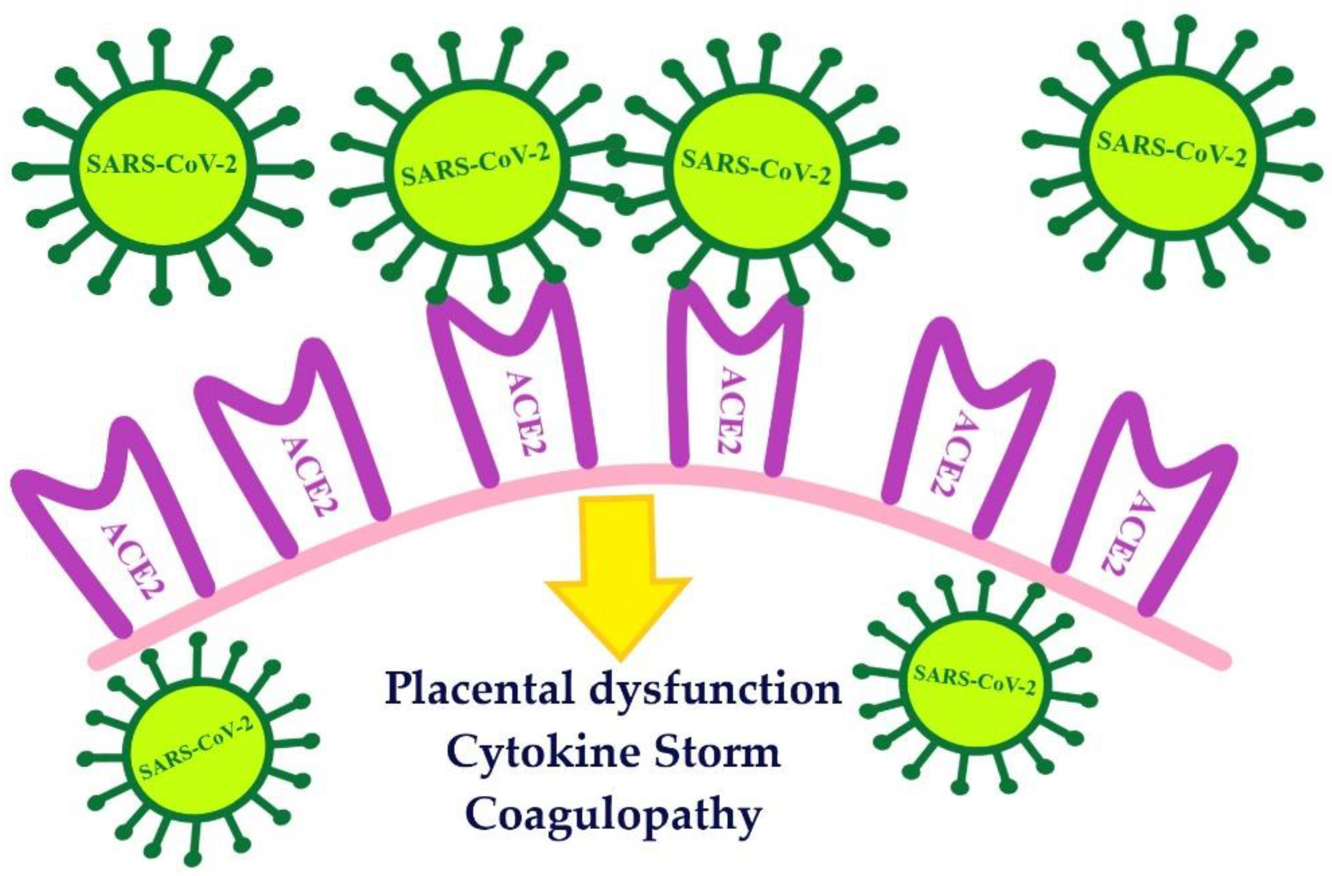 Biomolecules 11 01202 g002