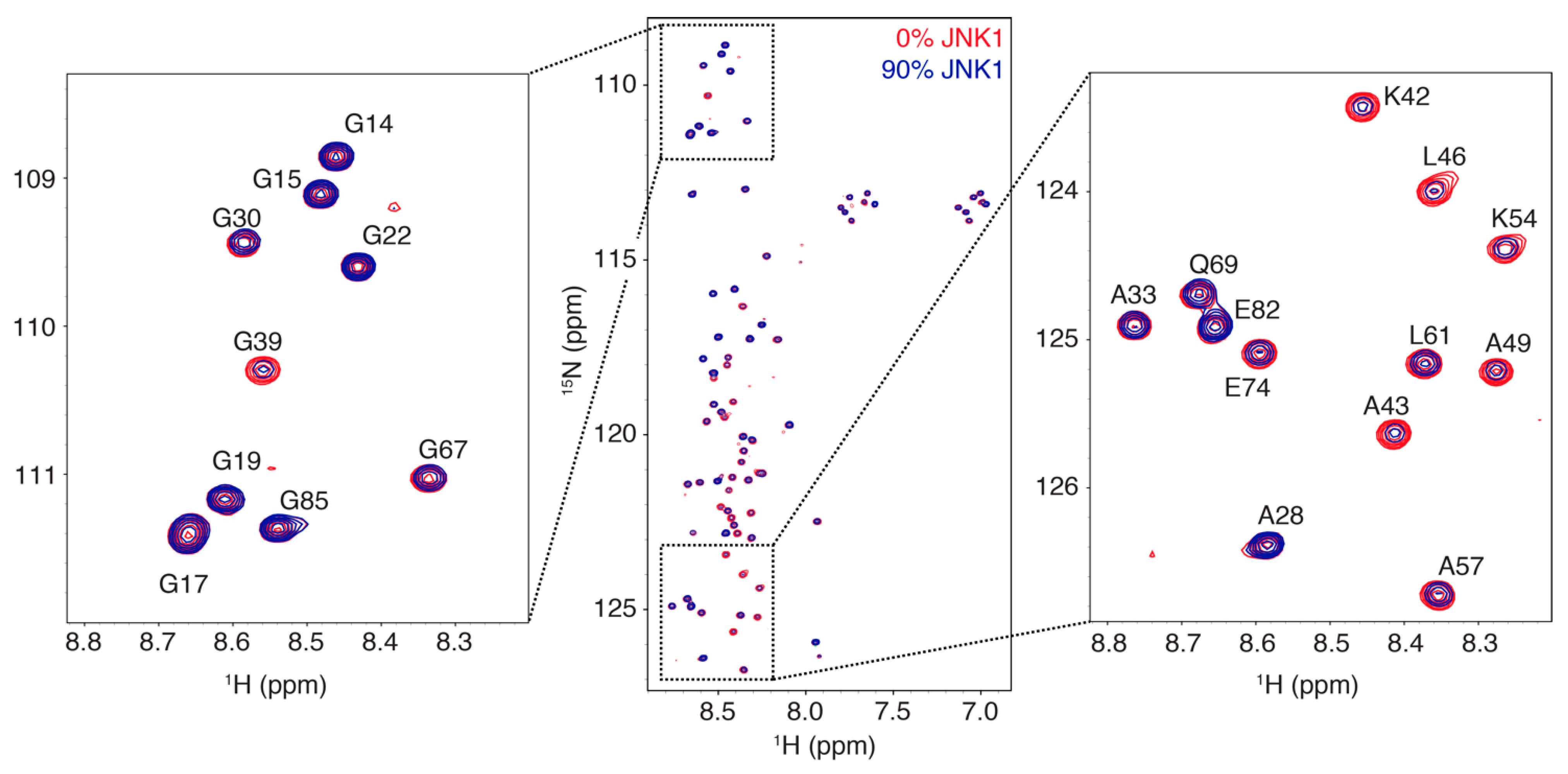 Biomolecules 11 01204 g001 Biomolecules 11 01204 g001