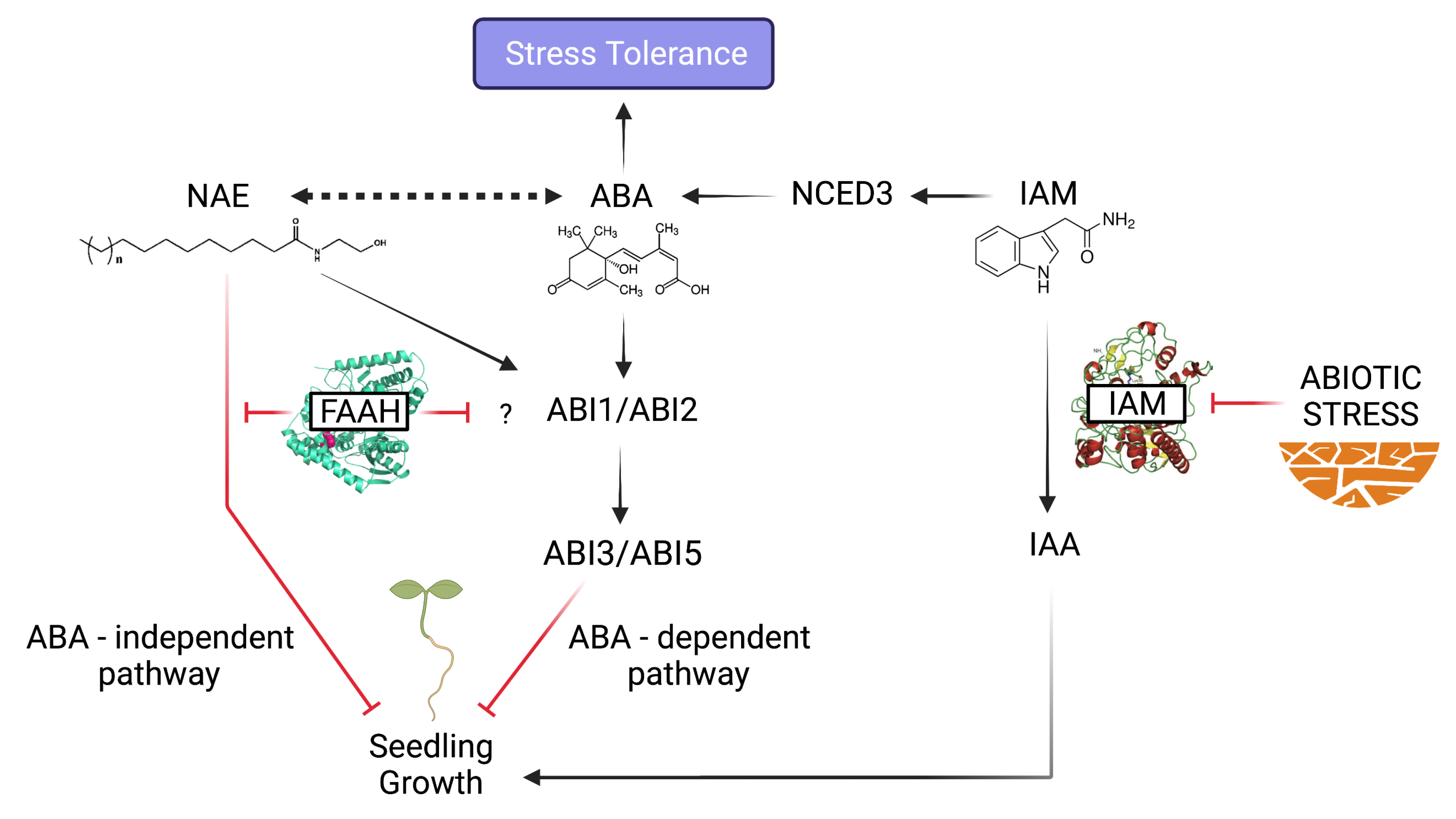 Biomolecules 11 01207 g004 Biomolecules 11 01207 g004