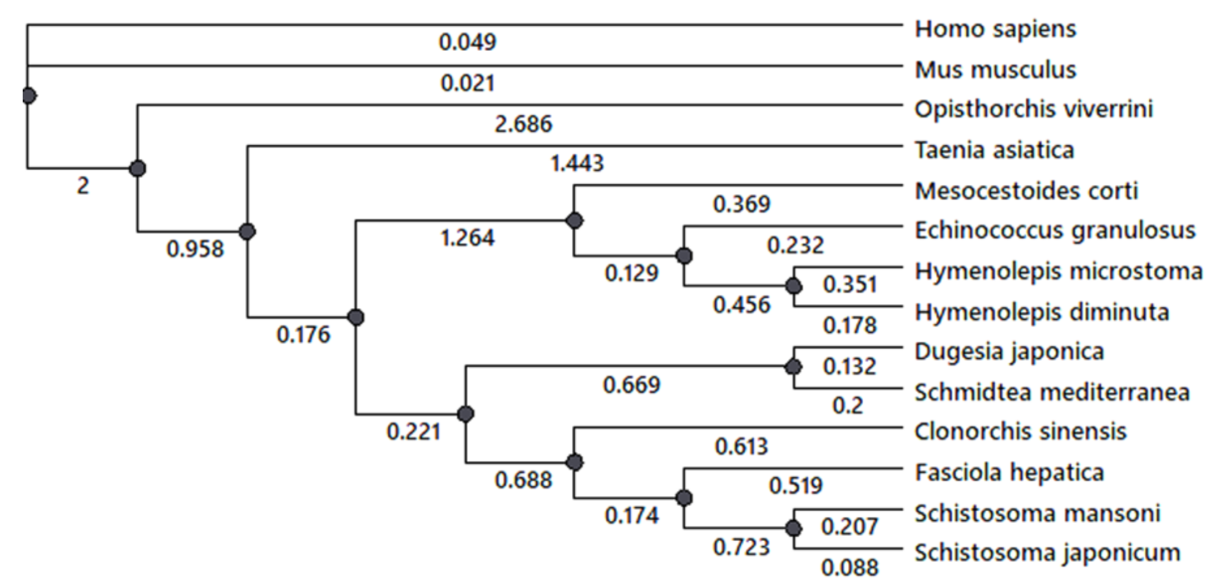 Biomolecules 11 01212 g004 Biomolecules 11 01212 g004