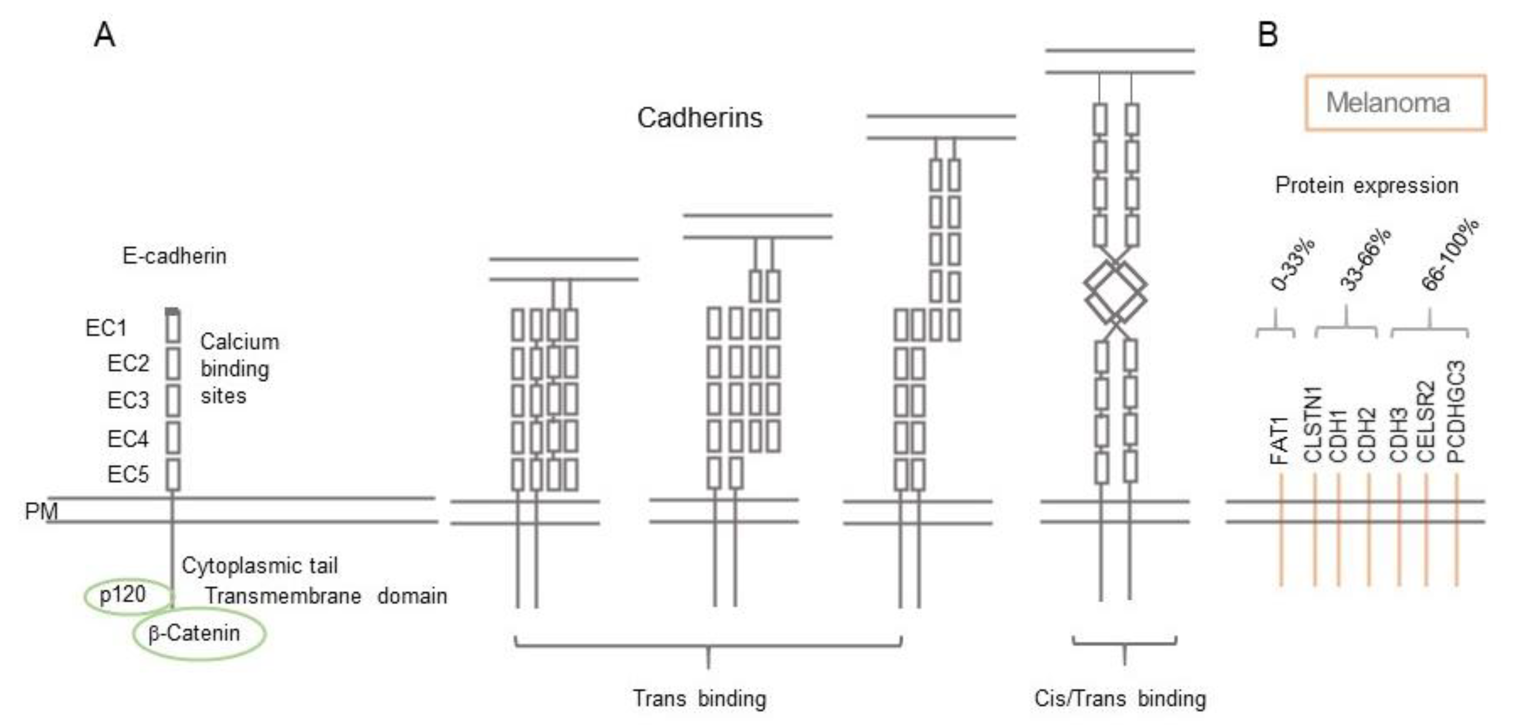 Biomolecules 11 01213 g001