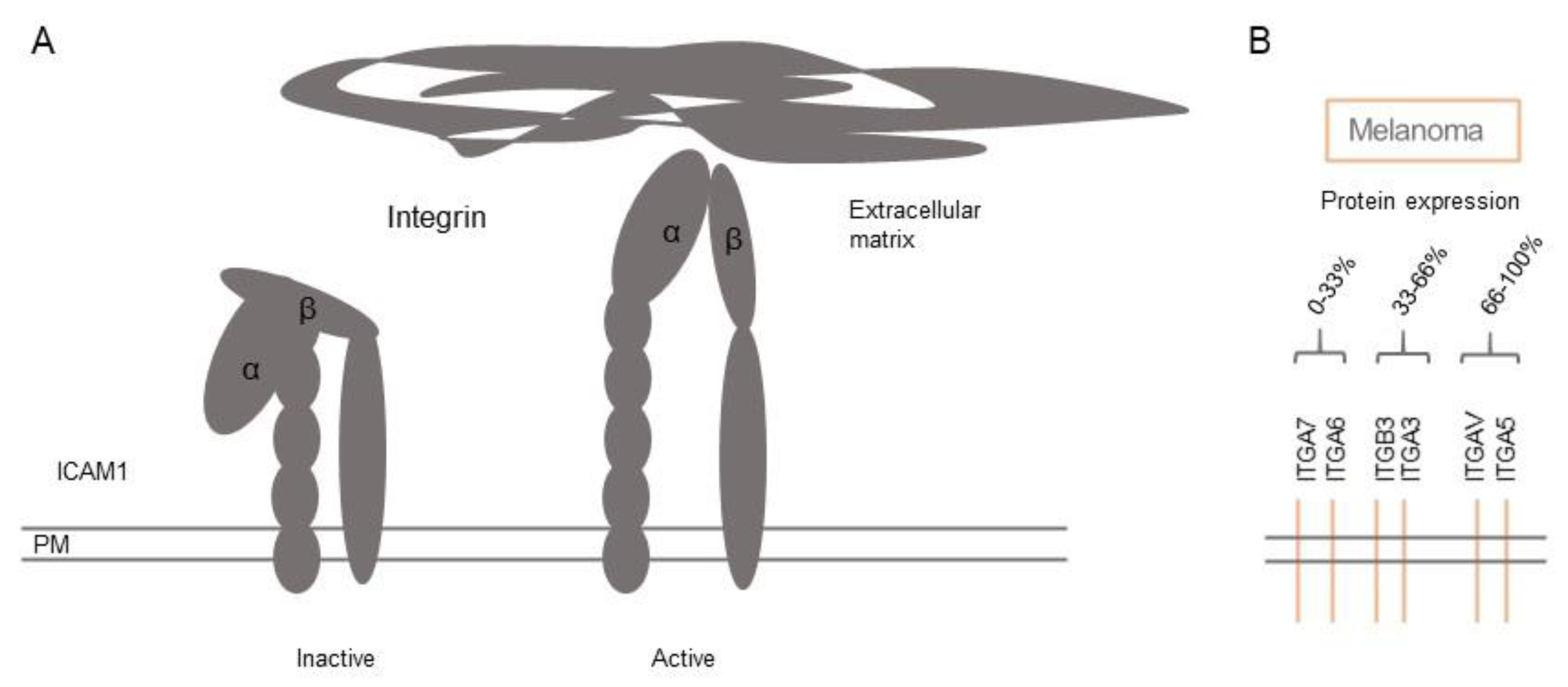 Biomolecules 11 01213 g003