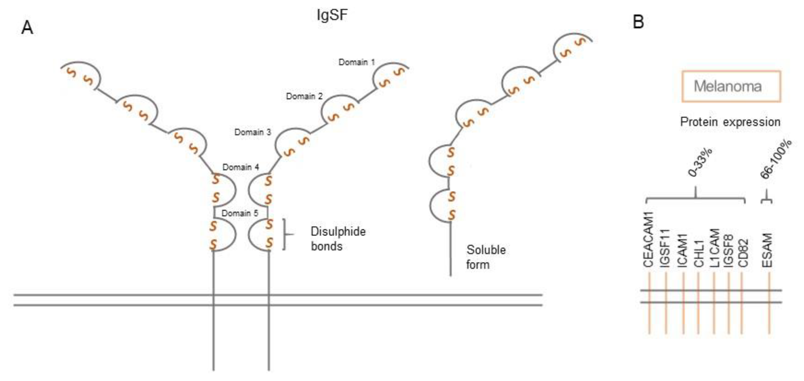 Biomolecules 11 01213 g005