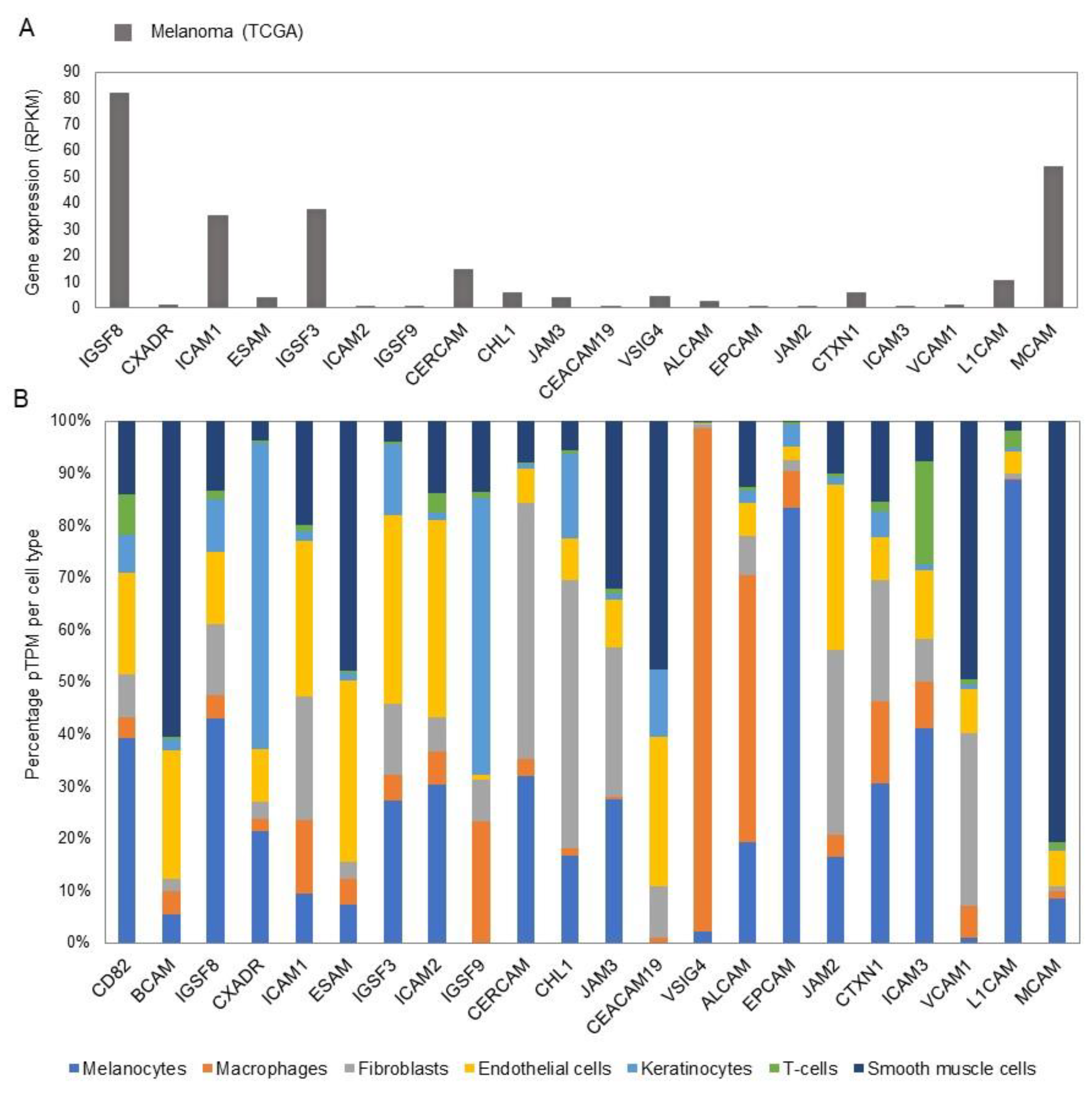 Biomolecules 11 01213 g006