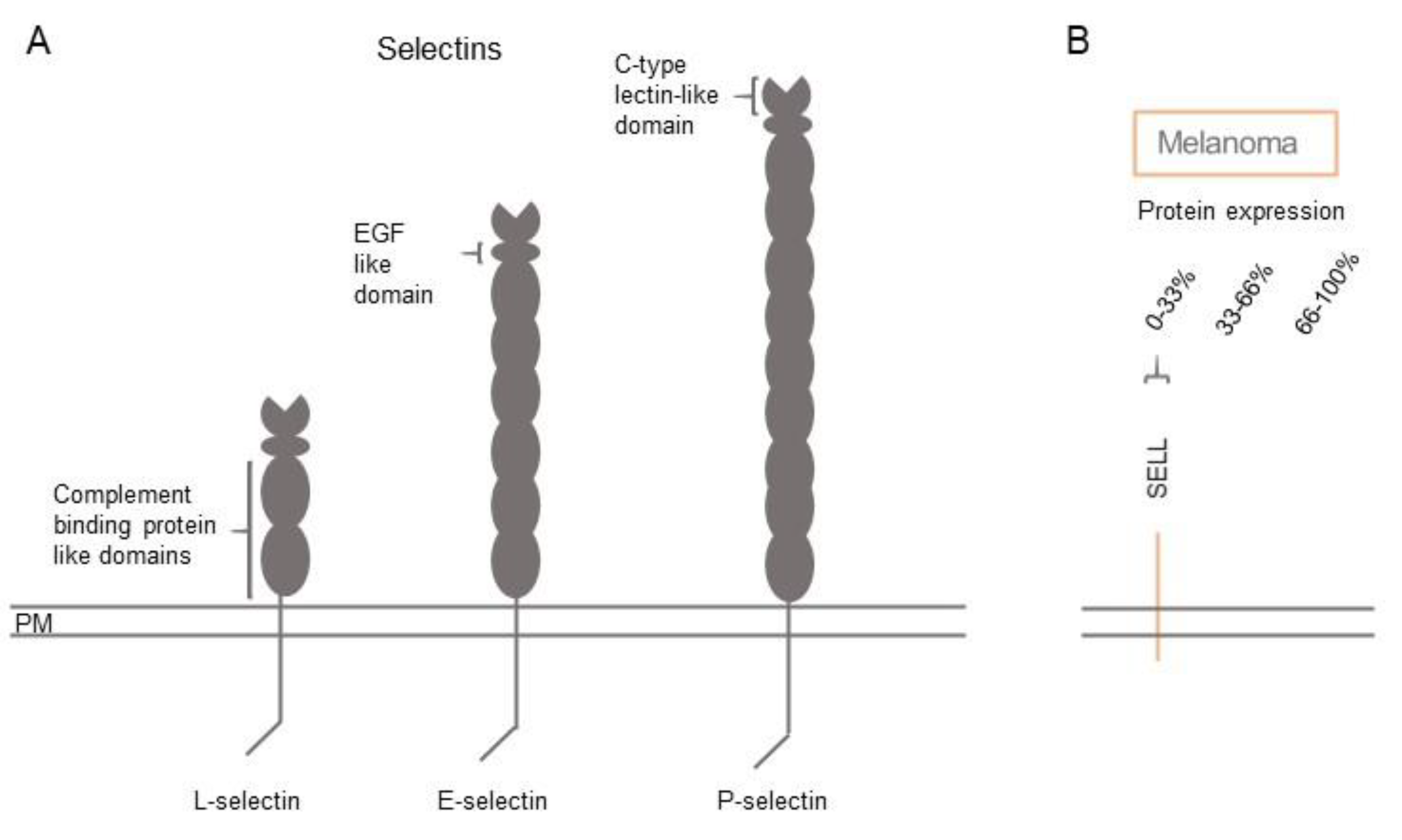 Biomolecules 11 01213 g007