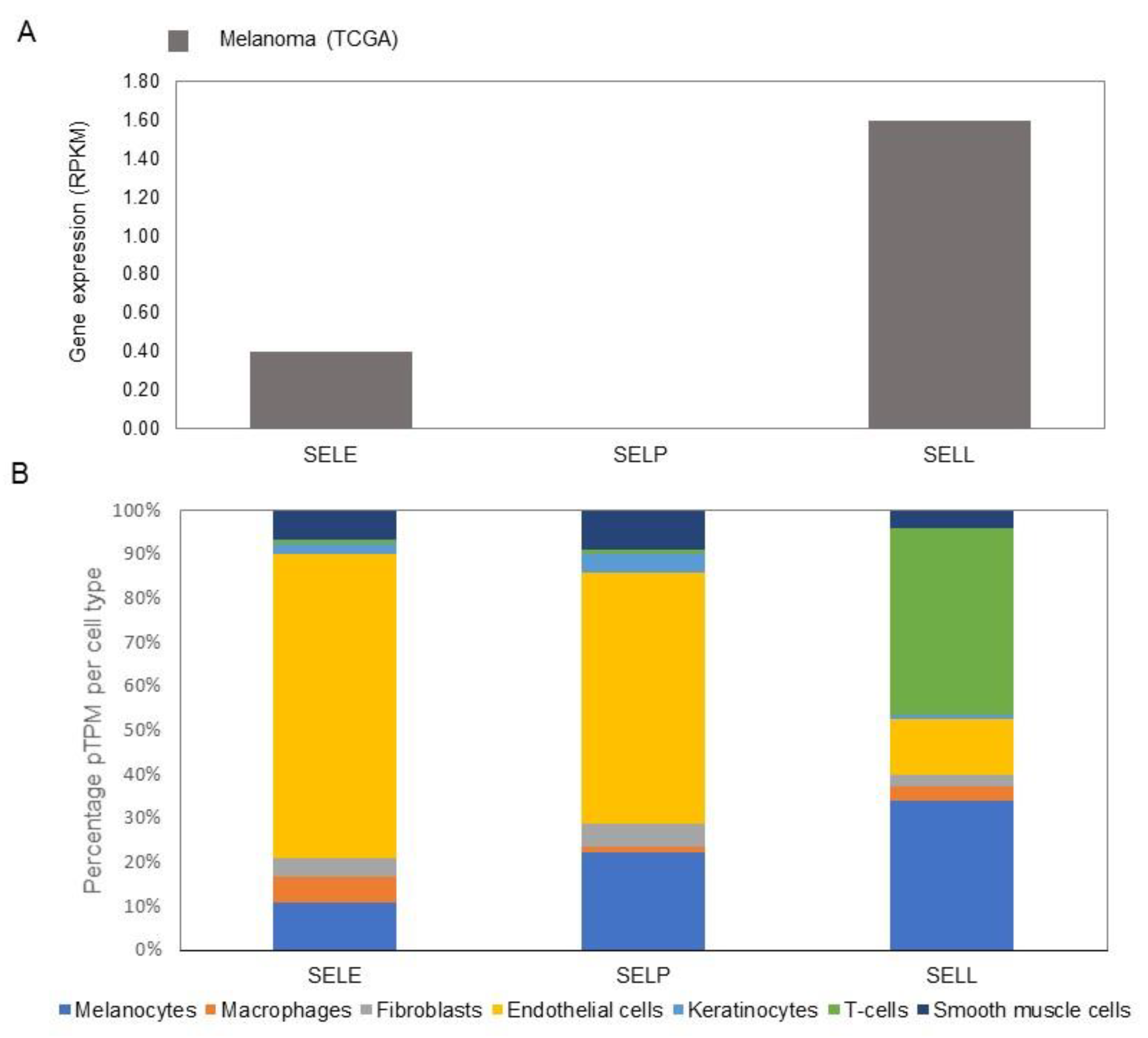 Biomolecules 11 01213 g008