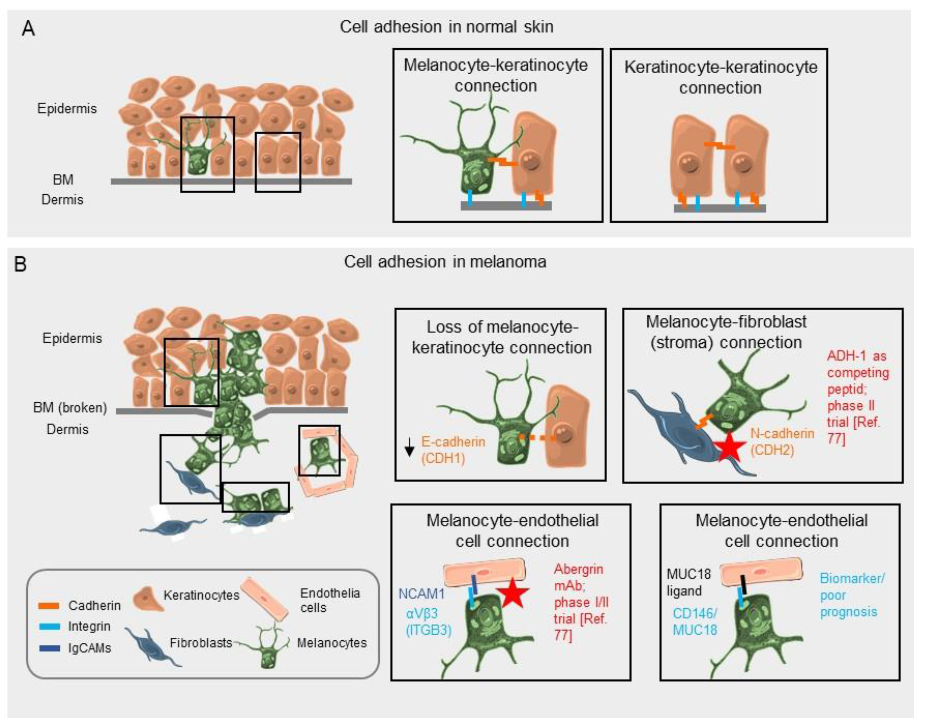 Biomolecules 11 01213 g009