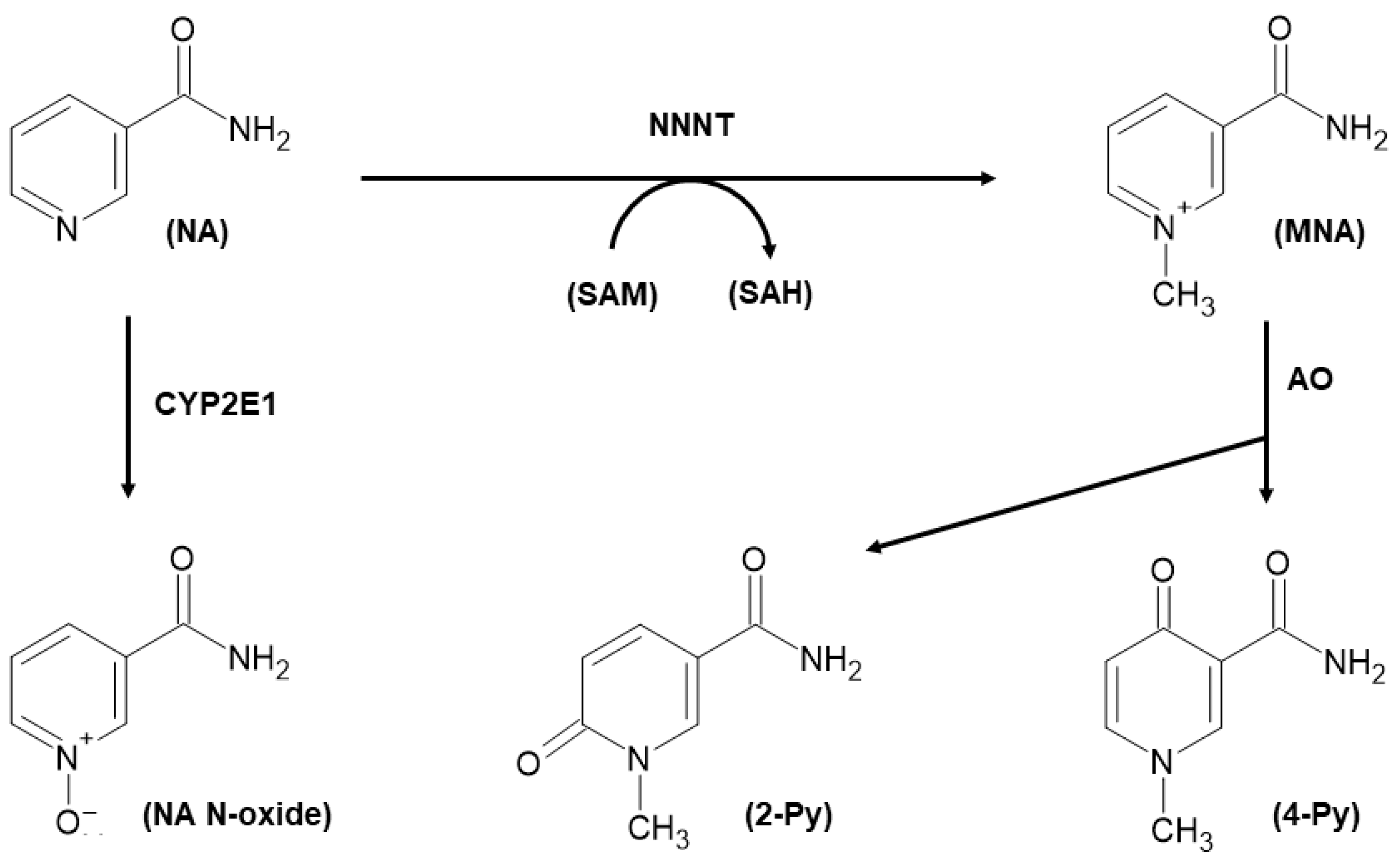 Biomolecules 11 01214 g001 Biomolecules 11 01214 g001