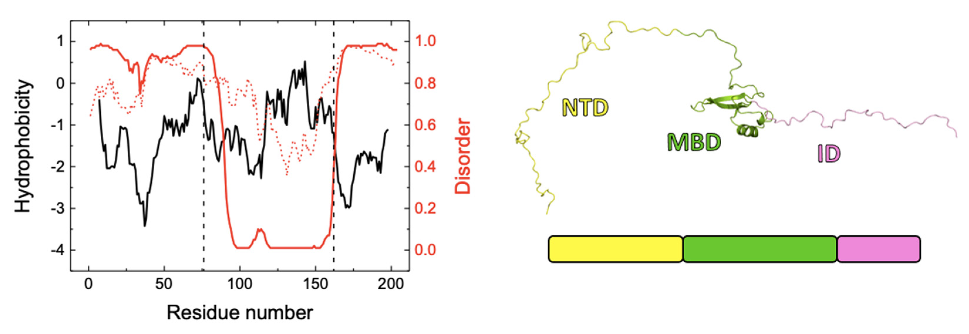 Biomolecules 11 01216 g008 550