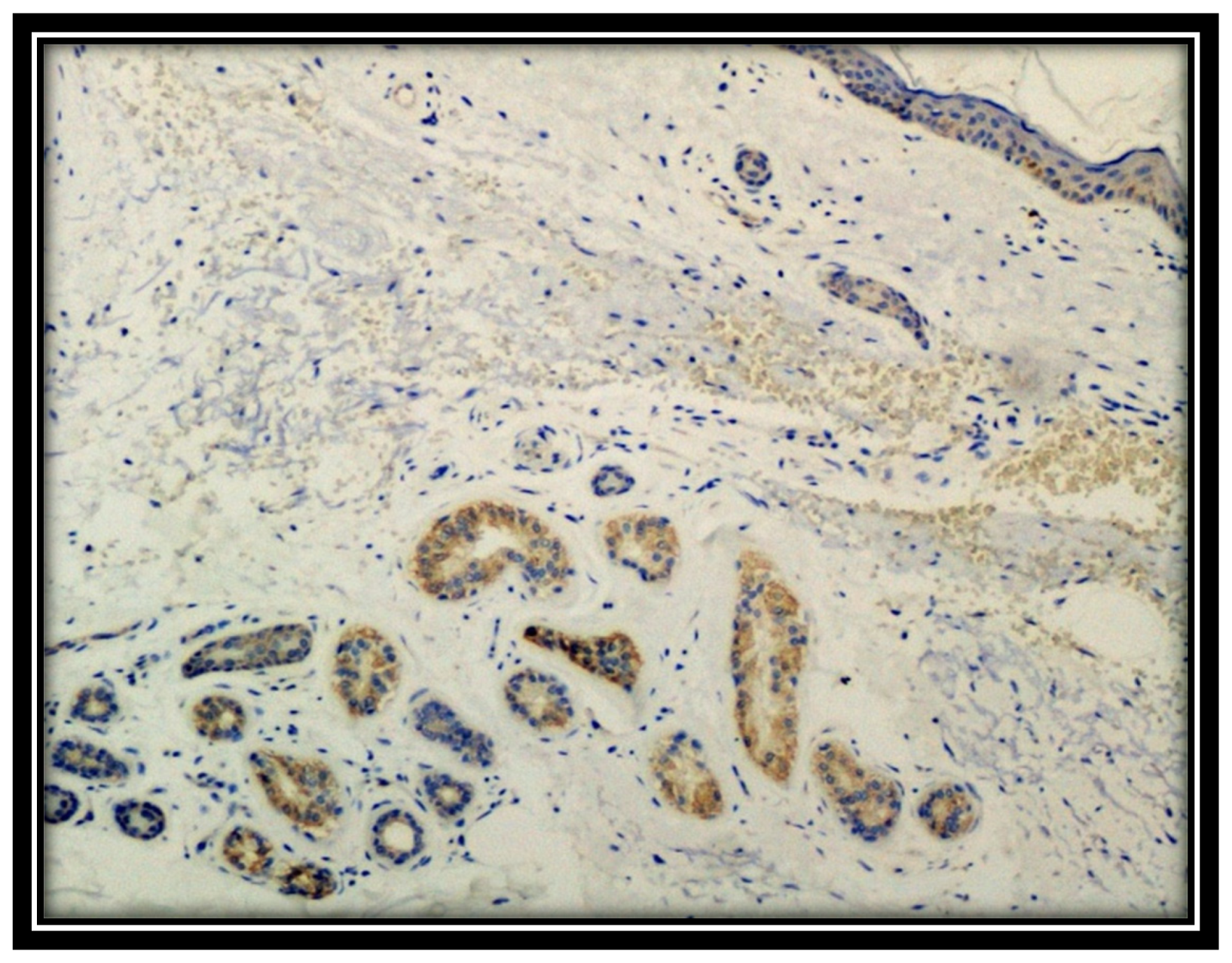 Biomolecules 11 01219 g001 550